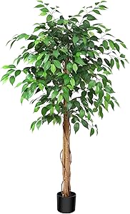 SOGUYI 5ft Ficus Artificial Trees with Realistic Leaves and Trunk, Silk Fake Ficus Tree with Plastic Nursery Pot, Faux Ficus Tree for Office Home Farmhouse for Indoor Outdoor Decor(Set of 1)