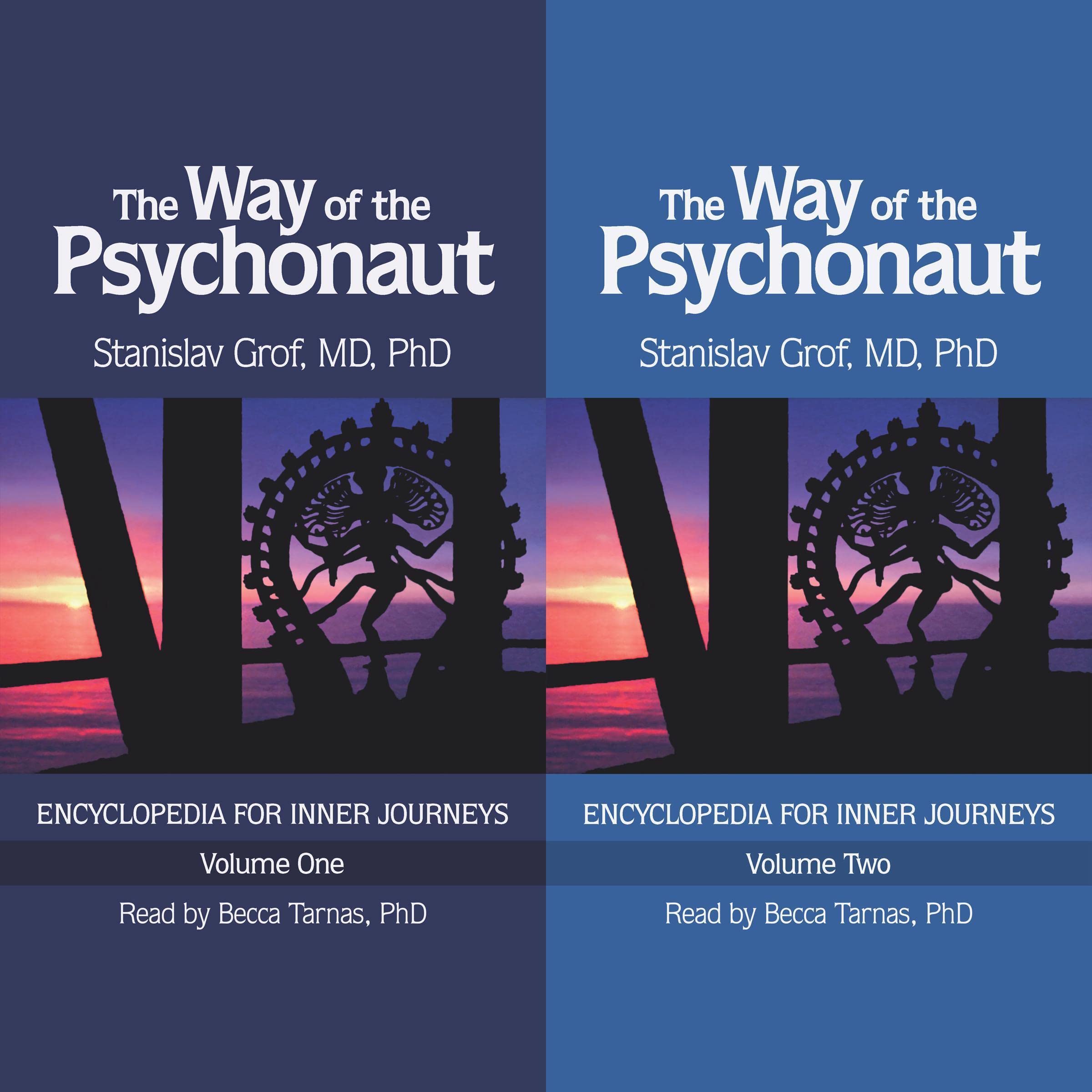 The Way of the Psychonaut Vol. 1 and 2: Encyclopedia for Inner Journeys