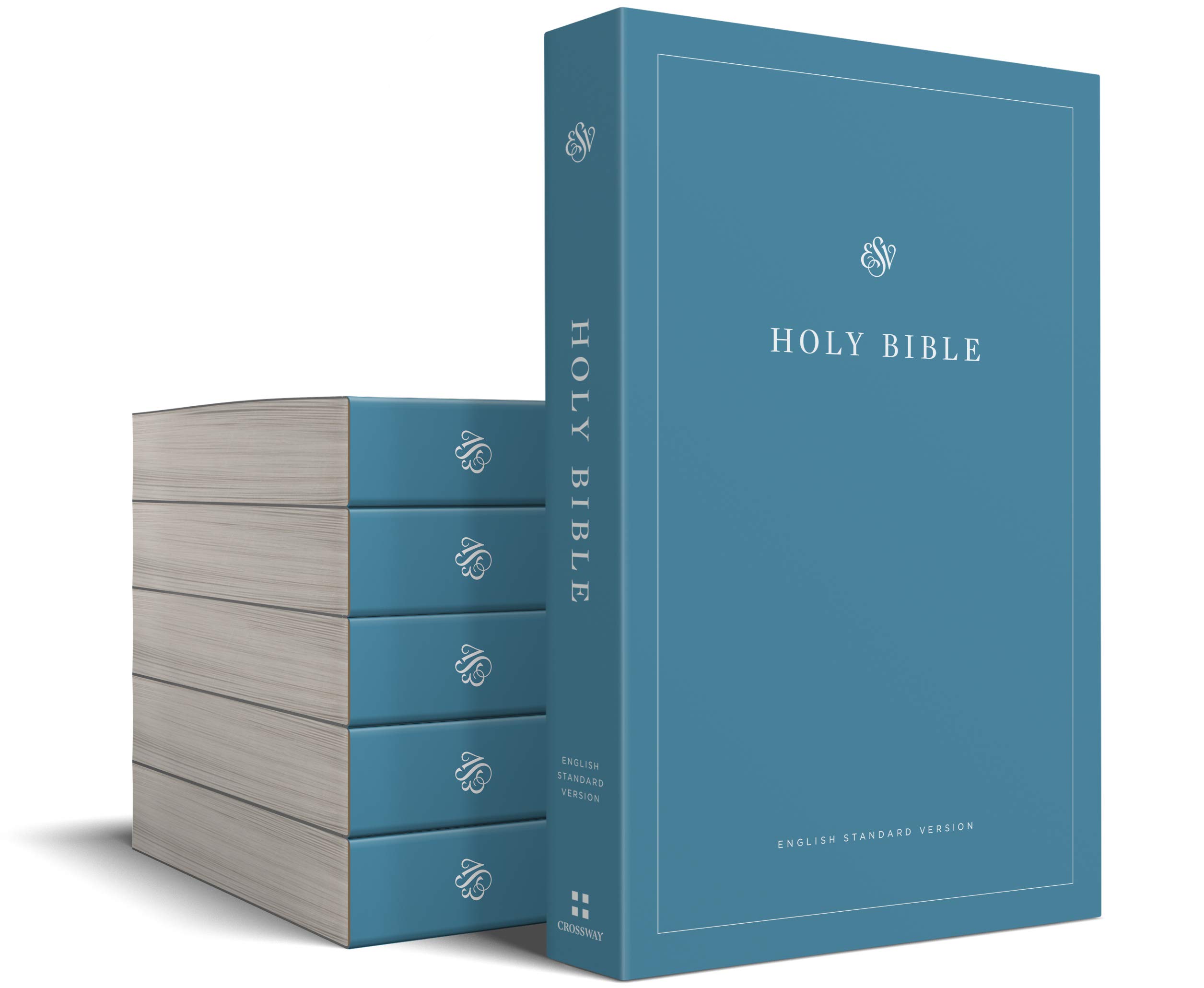 ESV Economy Bible (Case of 40)