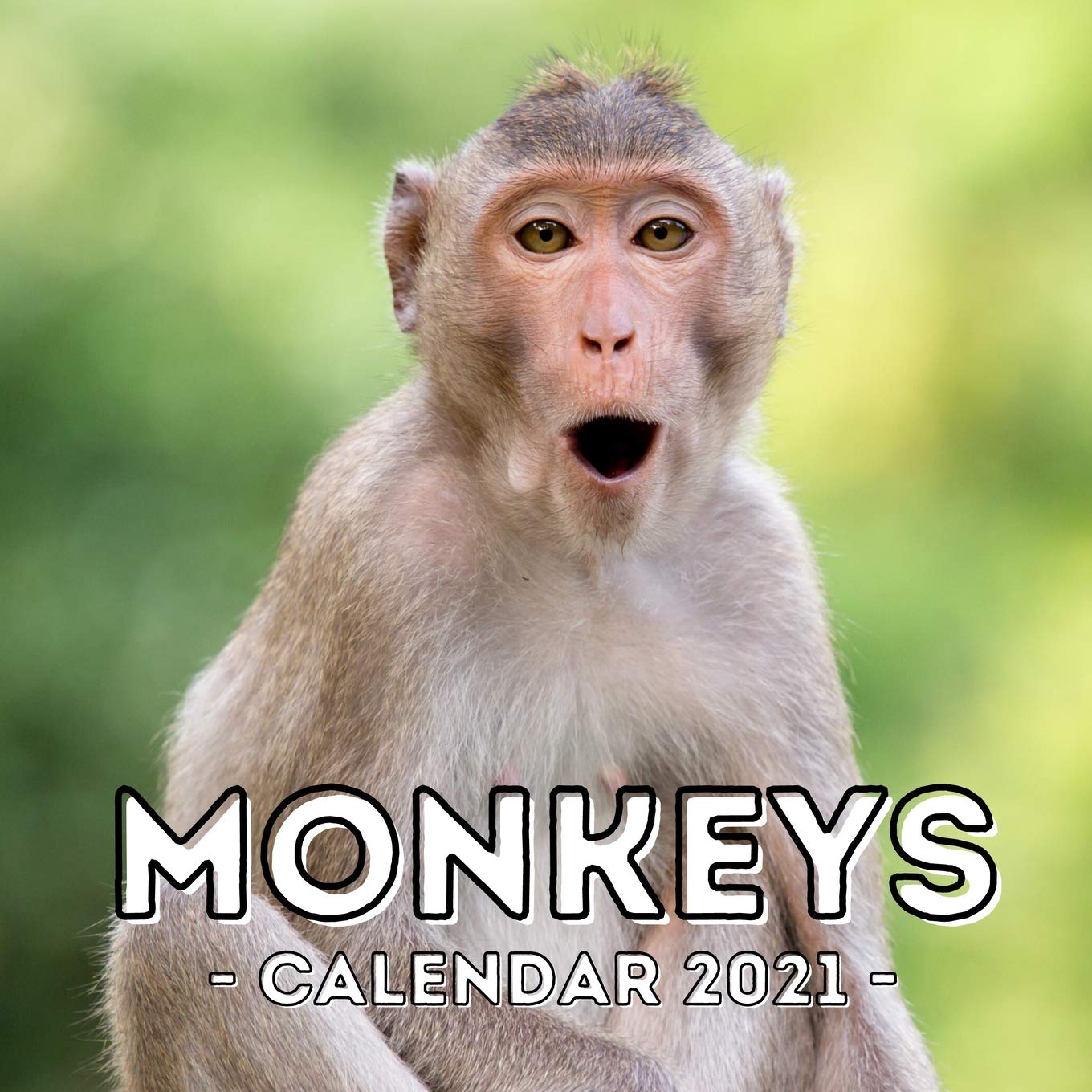 Monkeys: 2021 Calendar, Cute Gift Idea For Monkey Lovers Men And Women