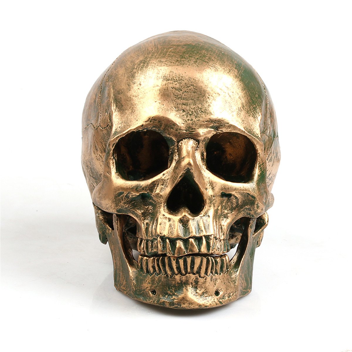 ECYC 1:1 Resin Human Skull Model Halloween Props Home Decorations, Fidelity Medical Model Skull Head for Art Medica Teaching, Bronze