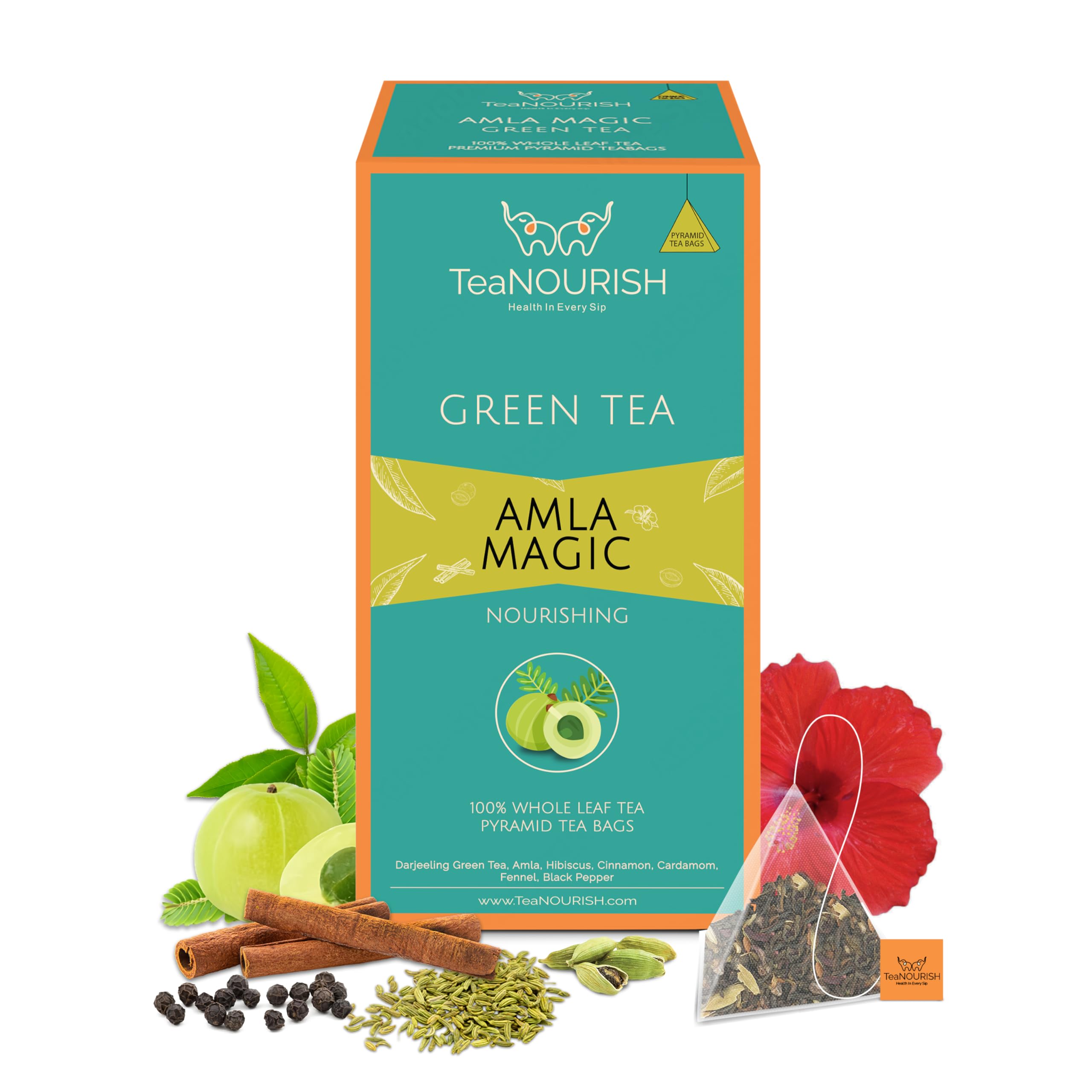 TeaNOURISH Amla Magic Green Tea | 20 Count Pyramid Tea Bags | Whole Leaf Tea | Blended with Amla, Hibiscus, Fennel, Cardamom & Cinnamon | 100% NATURAL INFUSION