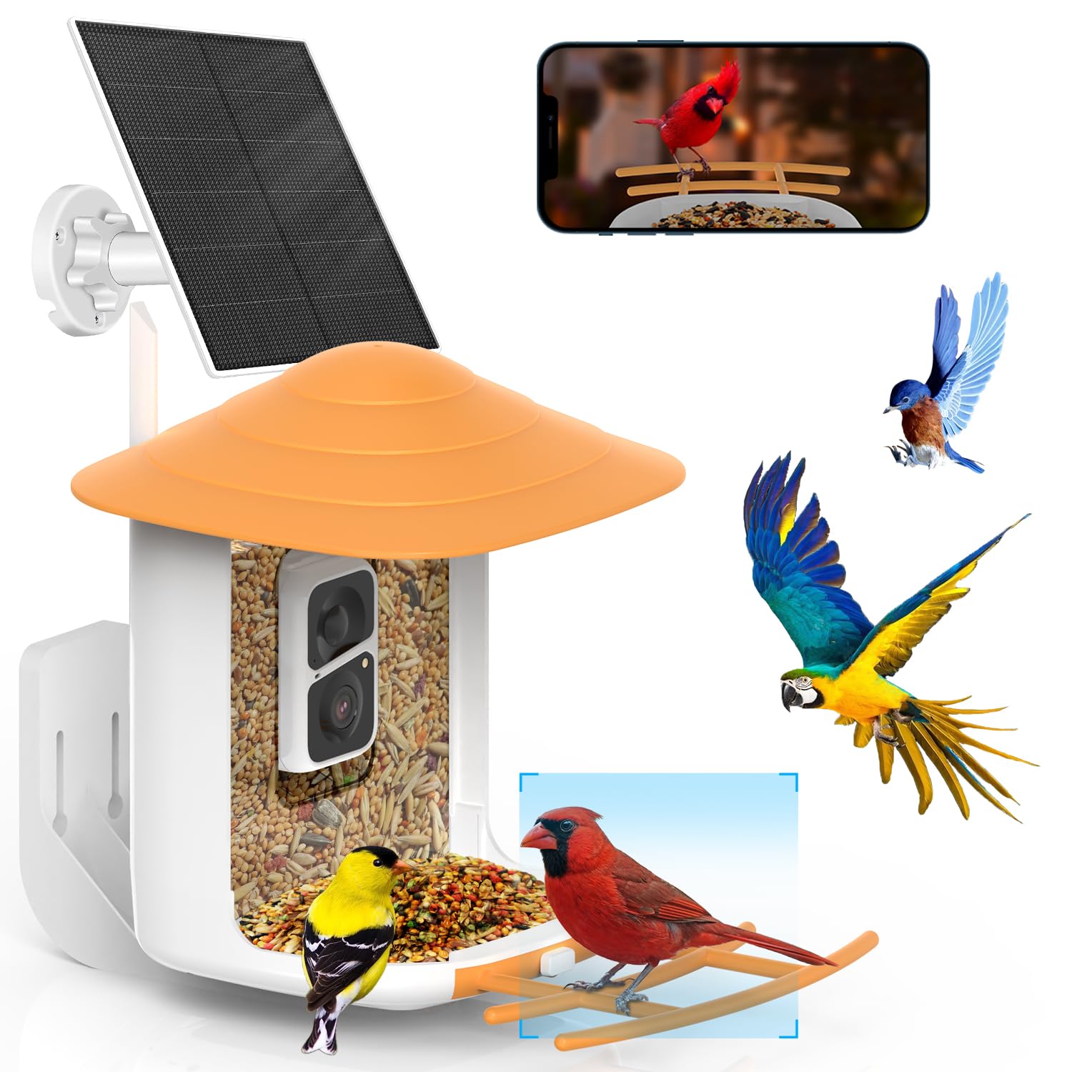 SOLIOMBF09 Bird Feeder with Camera Wireless Outdoor,Smart Bird Feeder Camera with AI Identify Bird Species,Backyard Bird Watching Gift for Christmas,Auto Record Bird Video,Instant Notifications