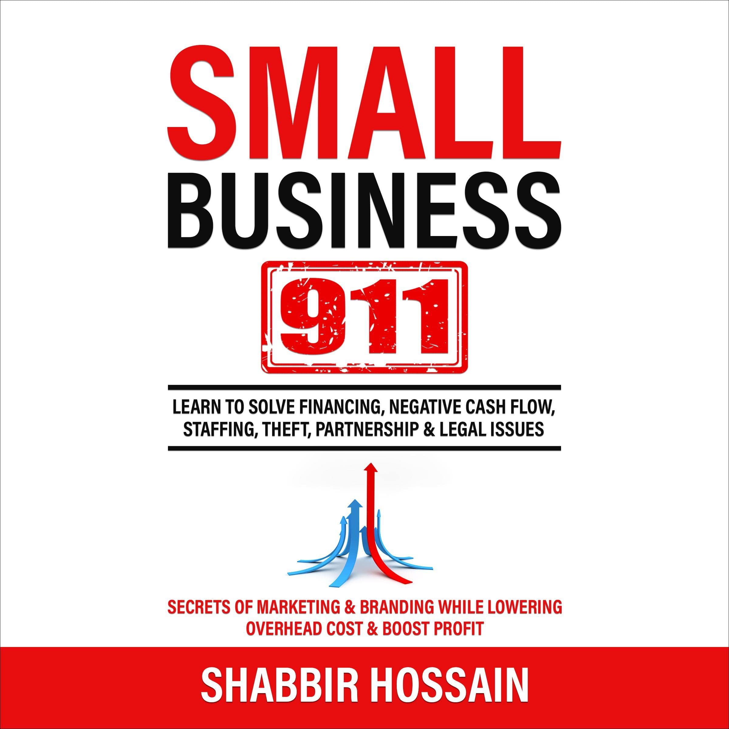 Small Business 911: Learn to Solve Financing, Negative Cash Flow, Staffing, Theft, Partnership & Legal Issues - Secrets of Marketing & Branding While Lowering Overhead Cost & Boost Profit