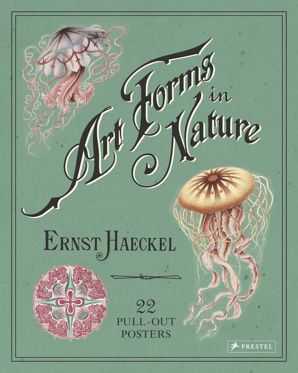 Ernst Haeckel: Art Forms in Nature: 22 Pull-Out Posters