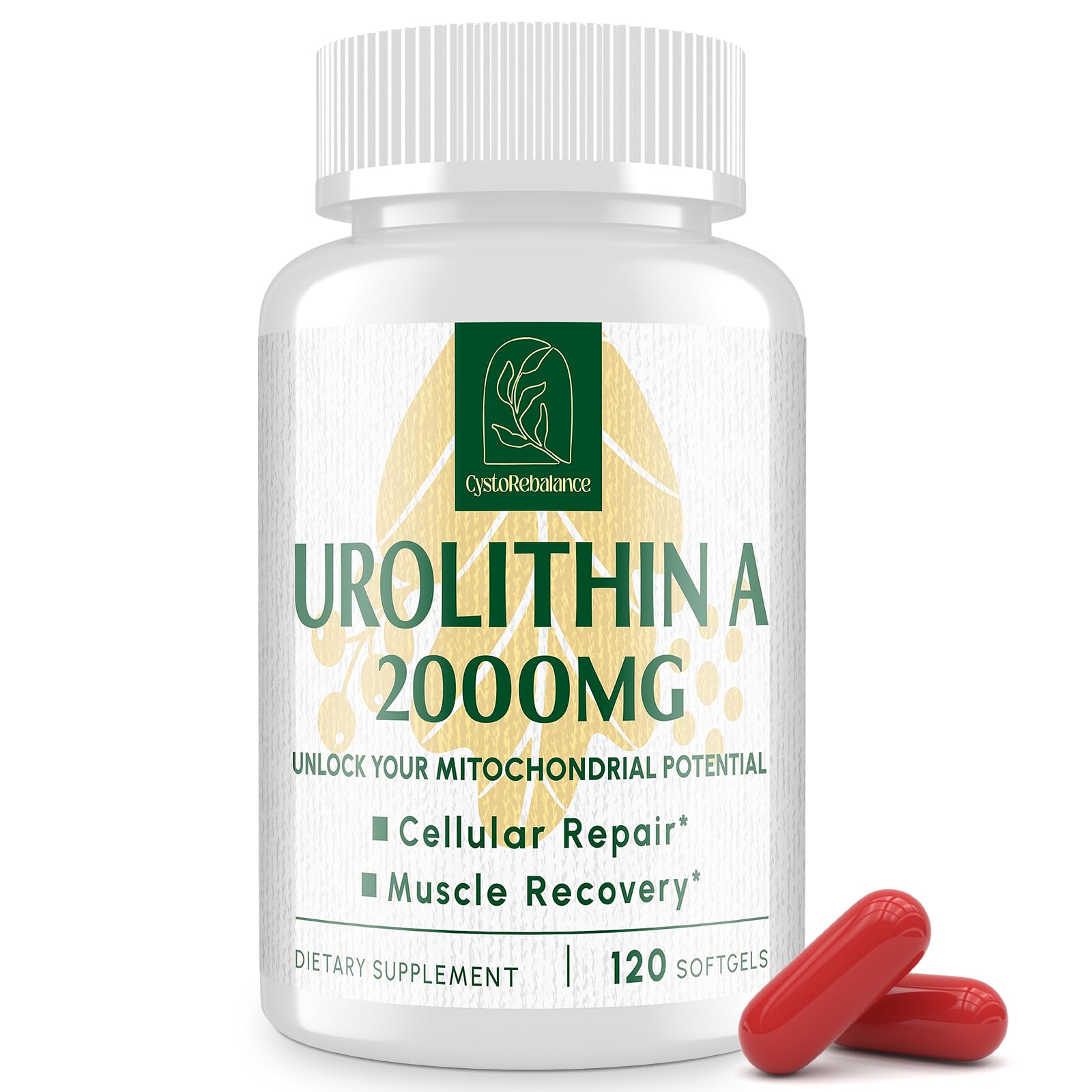 Urolithin A Supplement 2000MG - for Healthy Aging, Antioxidants and Mitochondrial Support - High Purity & Potency - 120 Vegan Softgels - 2 Month Supply