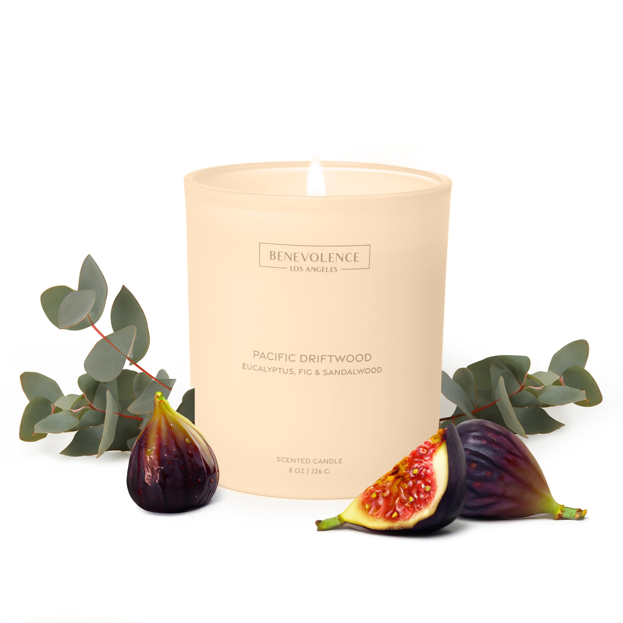 Benevolence LAPacific Driftwood Scented Candle | Eucalyptus, Fig & Sandalwood | 8oz, 45-Hour Burn | Home Fragrance | Natural Wax, Cotton Wick | Malibu Sands Collection