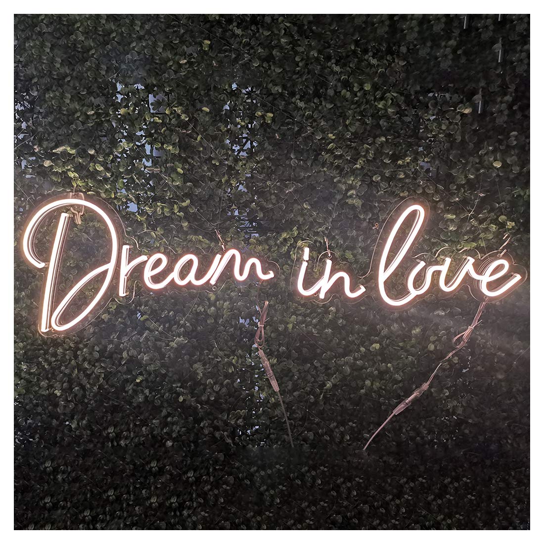 Britrio LED Neon Light Sign, Dream in Love Hanging Neon Wall Sign for Bedroom Wedding Hashtag Backdrop Home Decor Party Bar 12V Warm White Indoor Use(Power Adapter Include)