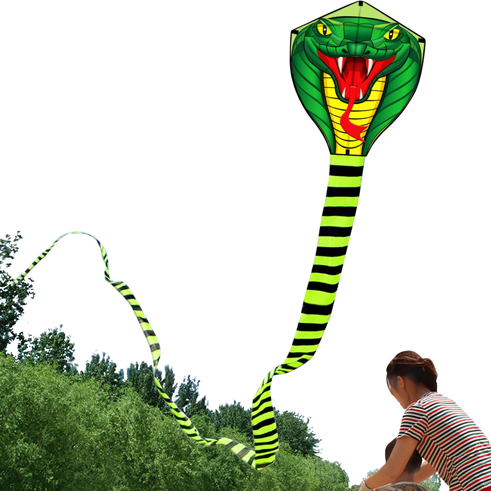 HENGDA KITE Large Power Snake Kites with Flying Line Outdoor Fun Sports Kite