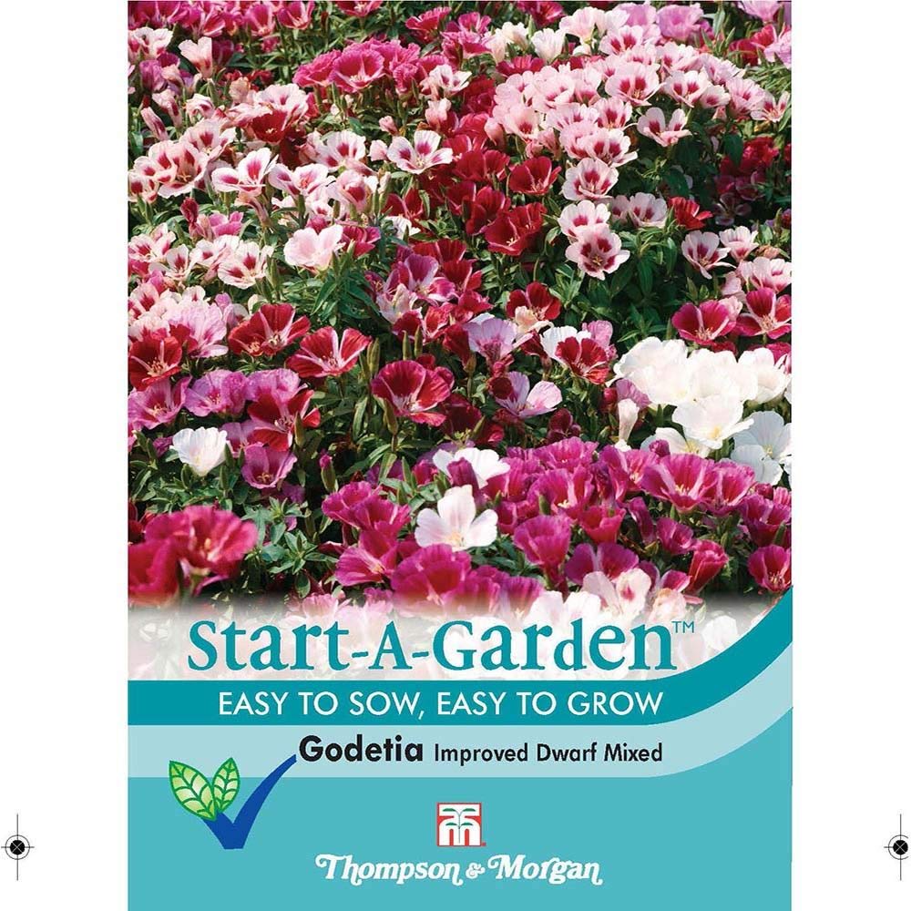 Thompson & Morgan - Start-A-Garden Flower - Godetia Improved Dwarf Mixed - 500 Seed