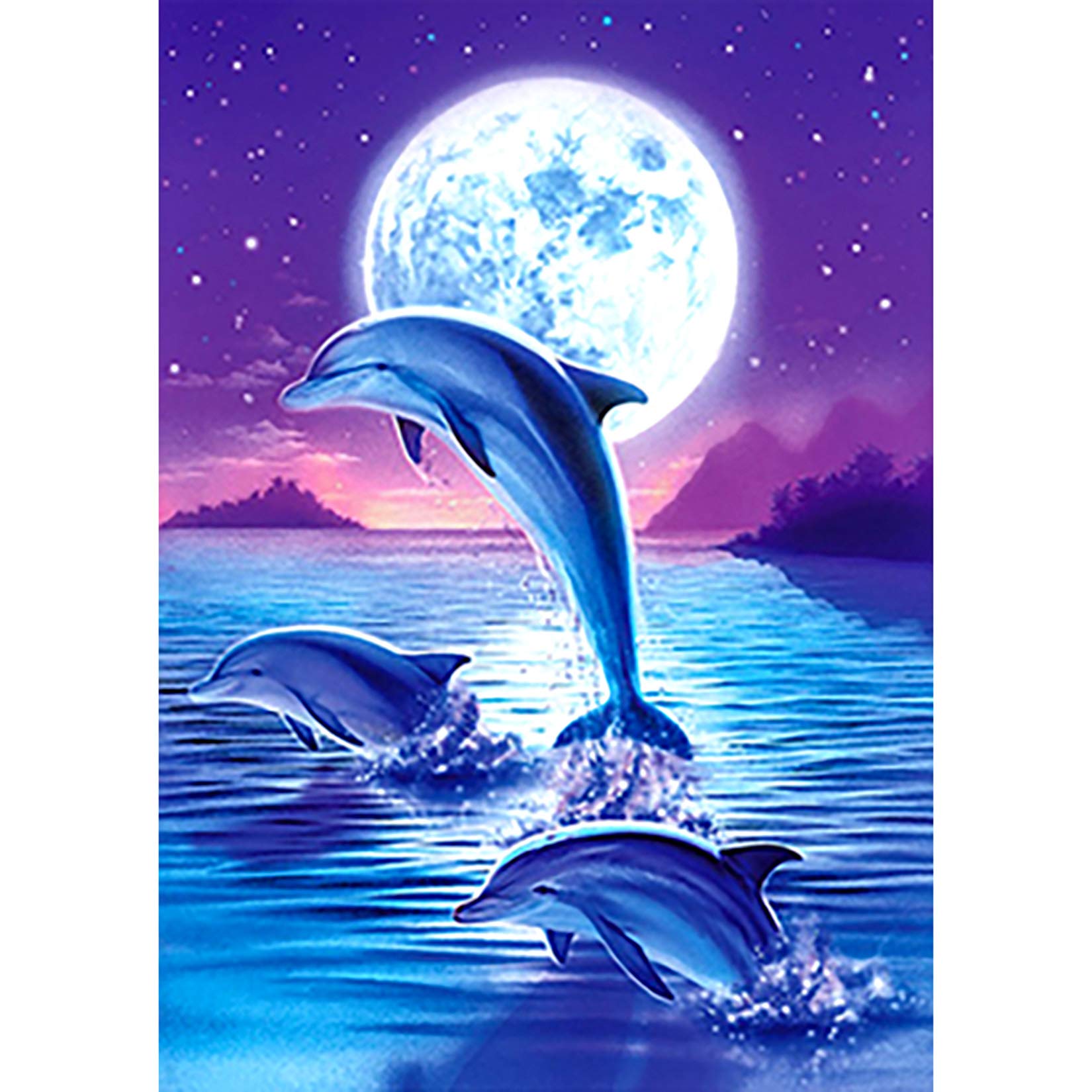 LJAPPLIED 5D Full Drill Rhinestone Diamond Embroidery Dolphin Paint Kits, Embroidery Cross Stitch DIY Arts Craft Supply for Adults, Kids, Home, Wall Decor(30x40cm)