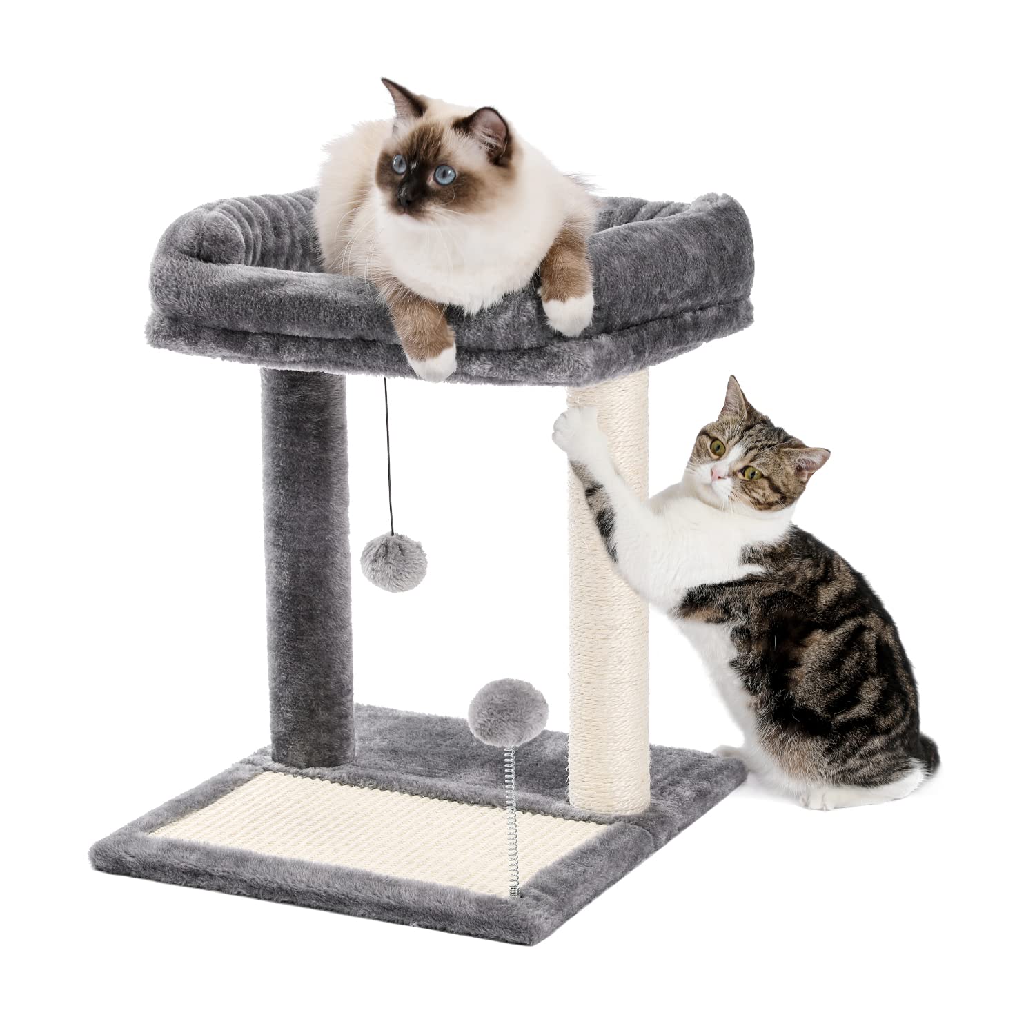 PAWZ Road Cat Scratching Post Bed, 19” Small Cat Tree Tower with Cat Scratcher Pad Large Top Removable Bed with Play Ball Great for Kittens and Cats