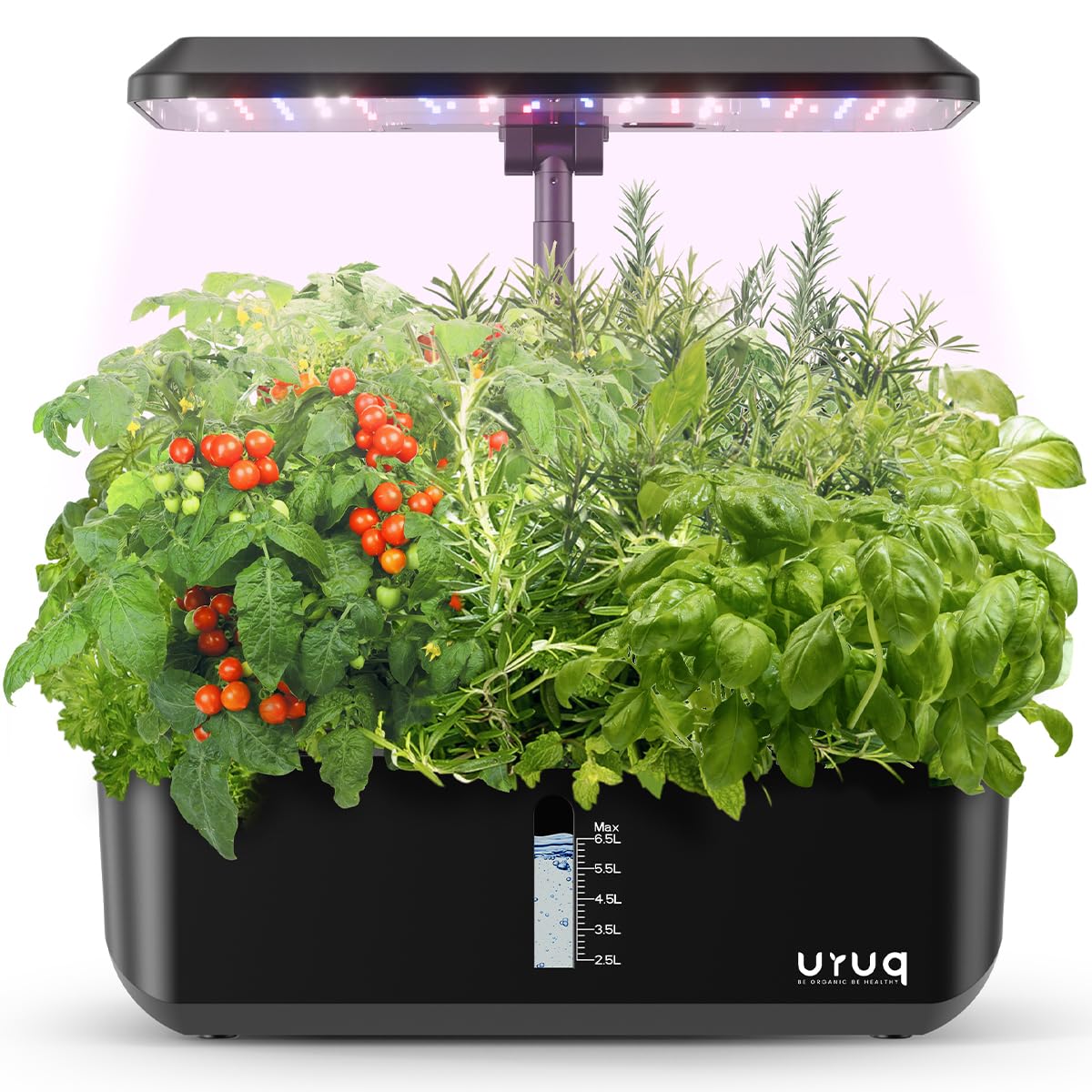 Hydroponics Growing System Indoor Garden 12 Pods Indoor Gardening System with LED Grow Light Height Adjustable Plants Germination Kit Quiet Smart Pump - Hydroponic Planter Fresh Harvest Black