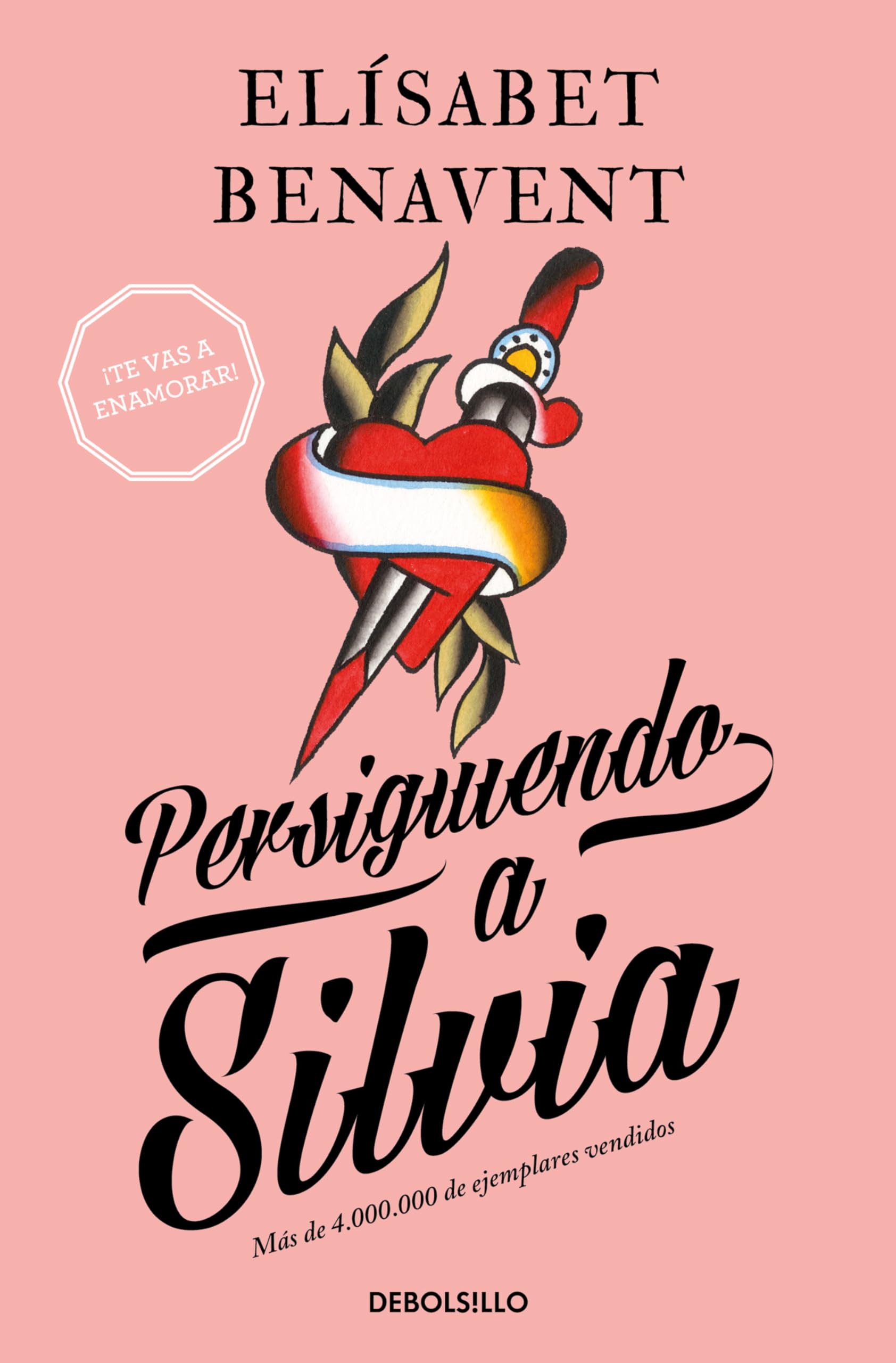 Persiguiendo a Silvia / Chasing Silvia: 1 (Silvia Serie) Mass Market Paperback – 1 May 2015