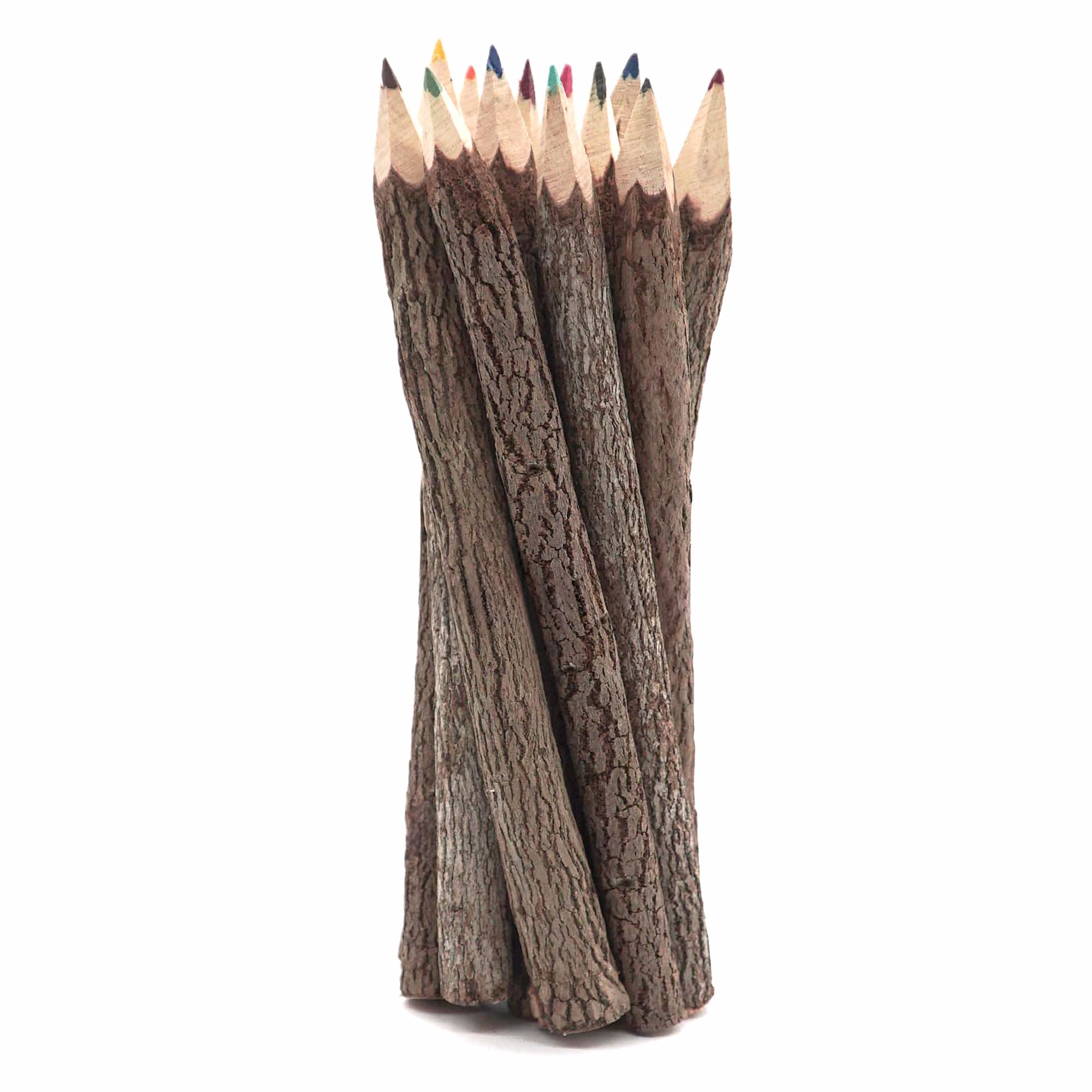 Bark 7 Inch Colors Pencils Set Assorted-Stick Twig of Wood Pencils Outdoor Colored Wooden Pencil Tree for Child Camping Decorations Color Wood, Color Pencils for Adult Wedding Decorations