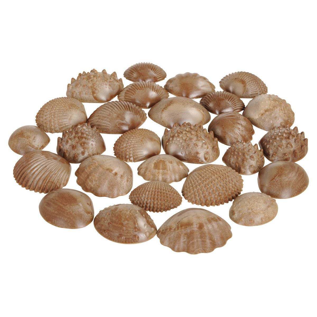 Tactile Shells, Set of 36