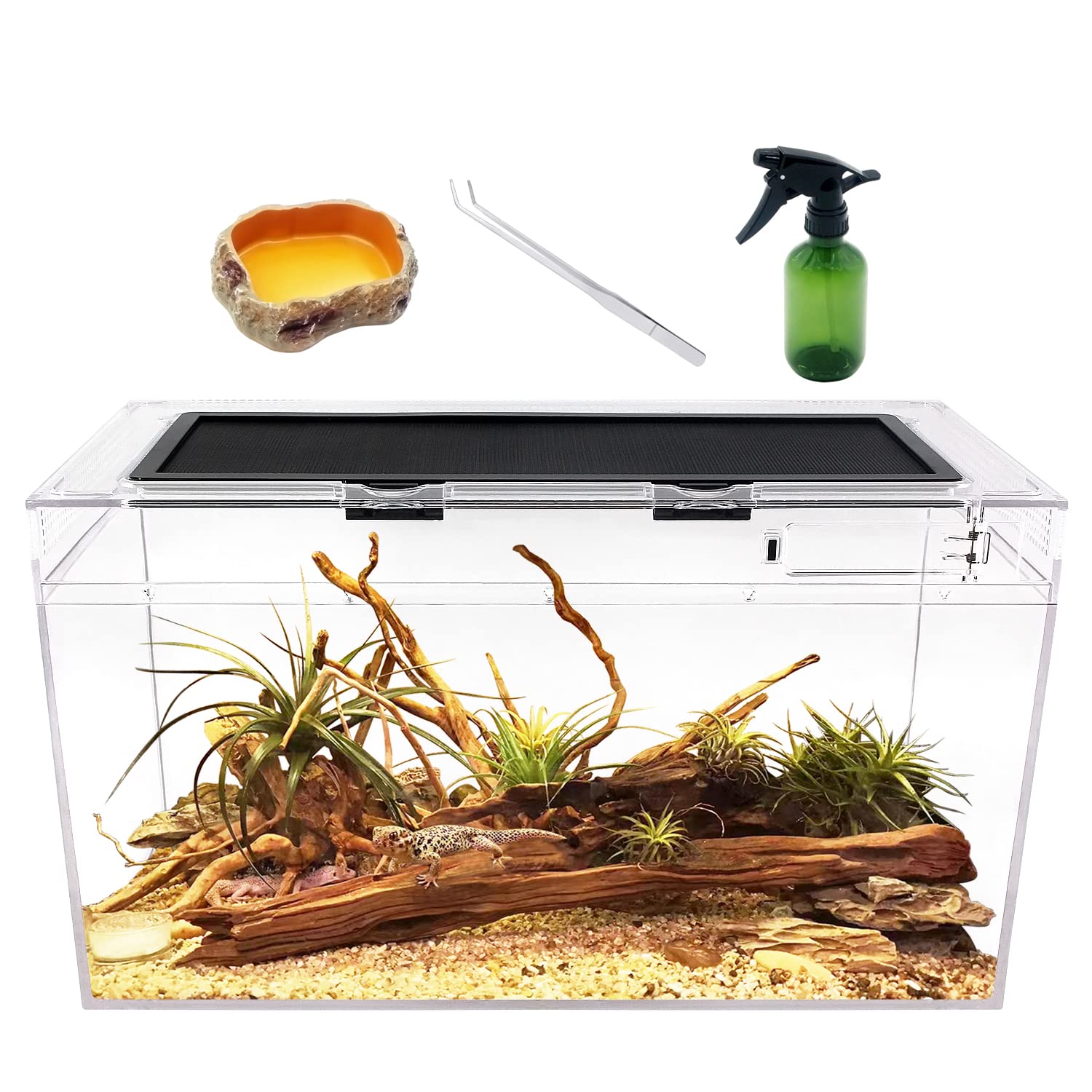 Reptile Terrarium,10 Gallon Reptile Tank 20" x 10"x 11",for Insect，Fish，Tarantula，Hermit Crab，Jumping Spider，Iguana，Tortoise，Leopard Gecko，Frog，Bearded Dragon