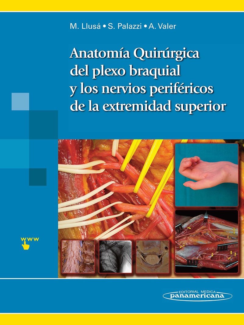 Anatomía quirúrgica del plexo braquial y nervios periféricos de la extremidad superior