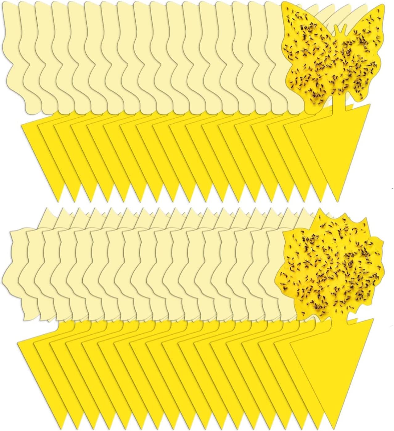 Stingmon 36 Pack Fruit Fly Trap for Indoors, Fungus Gnat Killer Indoor Sticky Traps for Mosquito, Bug Insect Catcher Killer for Houseplant