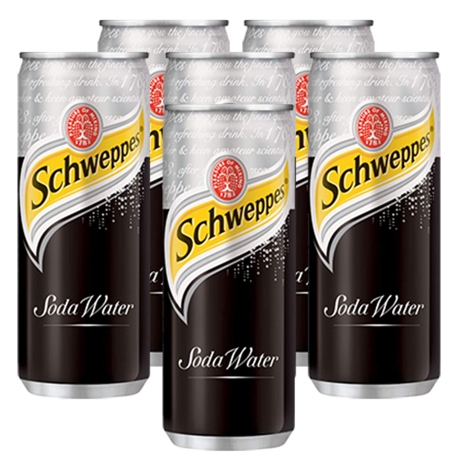 SchweppesSODA WATER 6X300 ML