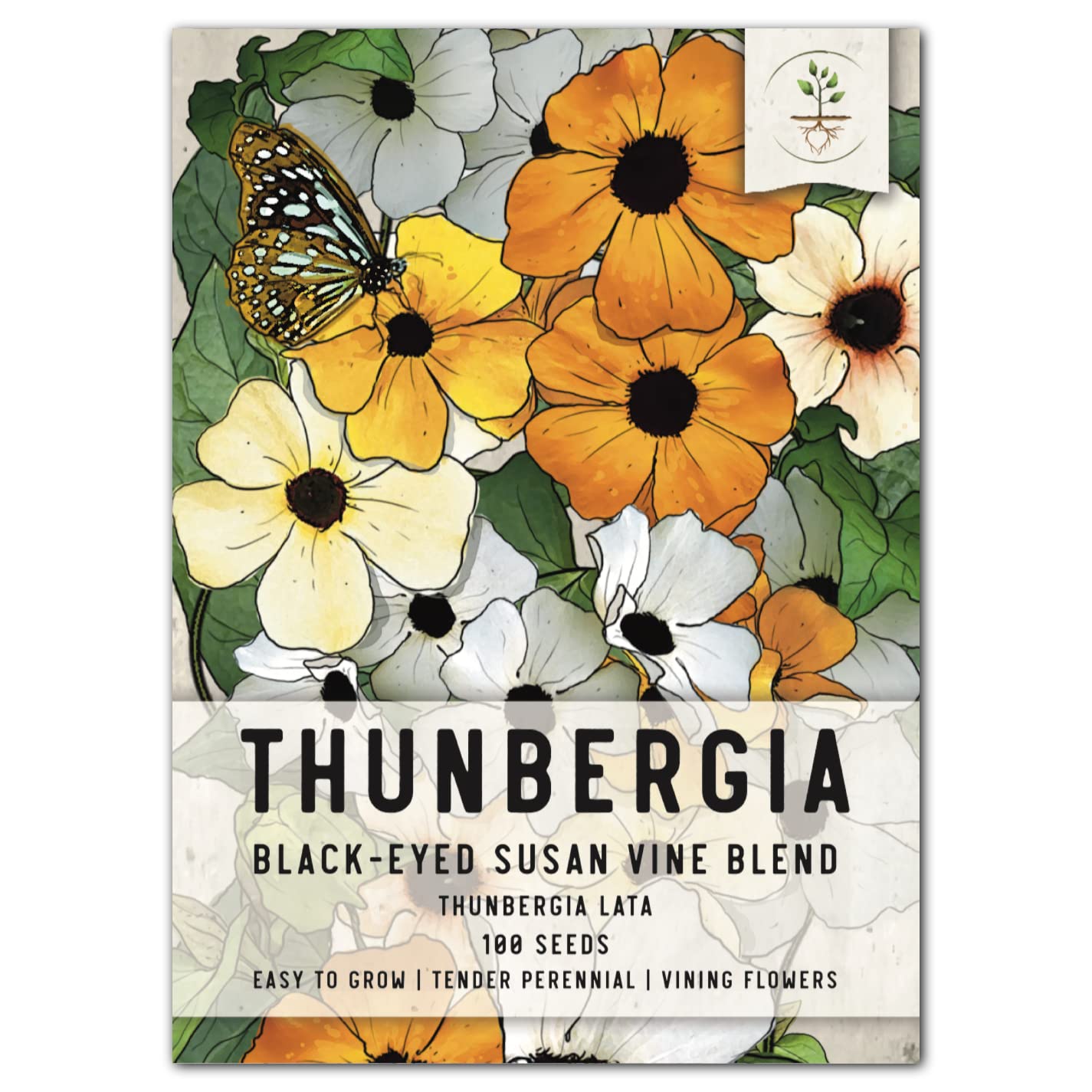 Seed Needs, Black-Eyed Susan Vine Seeds - 100 Heirloom Seeds for Planting Thunbergia alata - Annual Vining Flowers to Cover a Fence or Trellis (1 Pack)