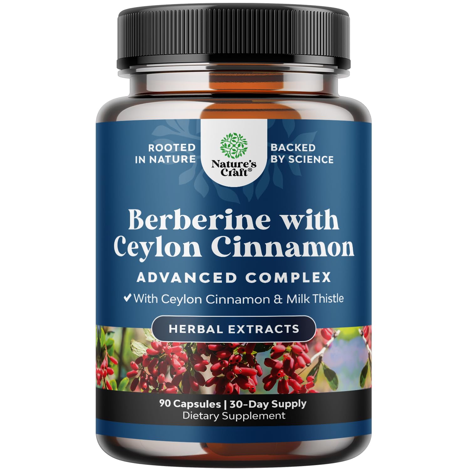 Balancing Berberine Plus 1200mg Per Serving Complex - Antioxidant Berberine with Ceylon Cinnamon Capsules Plus Silymarin Milk Thistle Extract - Active PK for Heart Health Support 90 Capsules