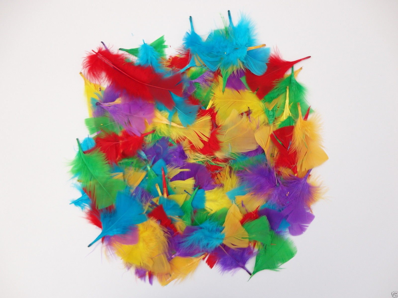 a2bsales 250+ Assorted Coloured Feathers Art Craft Collage Hats Costume Millinery