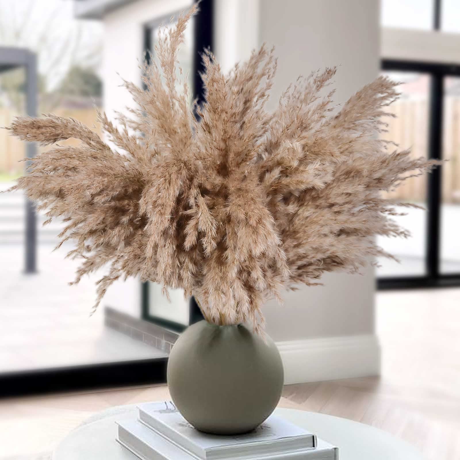 Dried Pampas Grass Decor Fall Decorations for Home 30 Pcs Pompas Floral Brown Pampass Fluffy for Modern Home Decor Boho Baby Shower Wedding Decorations Short Dry Flowers for Small Vase