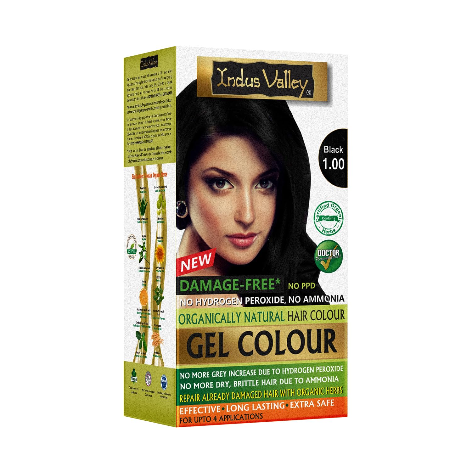 Indus Valley Gel Black1.0 Gel & Powder Hair Dye Colour Kit (Packaging may vary)