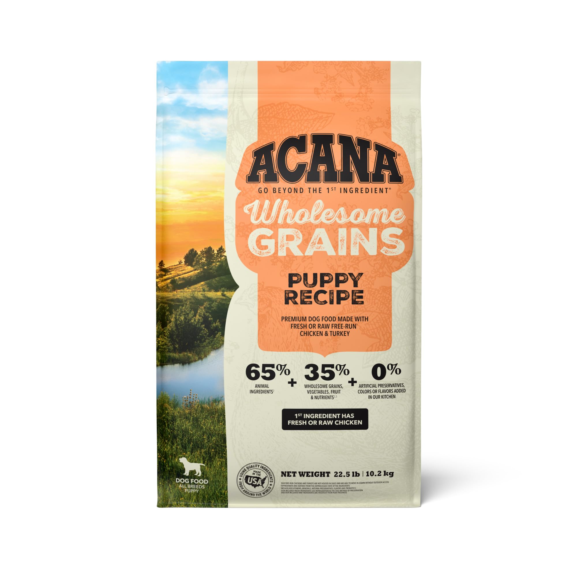 ACANAWholesome Grains Dry Dog Food, Puppy Recipe, Real Chicken, Eggs and Turkey Dog Food Recipe, 22.5lb