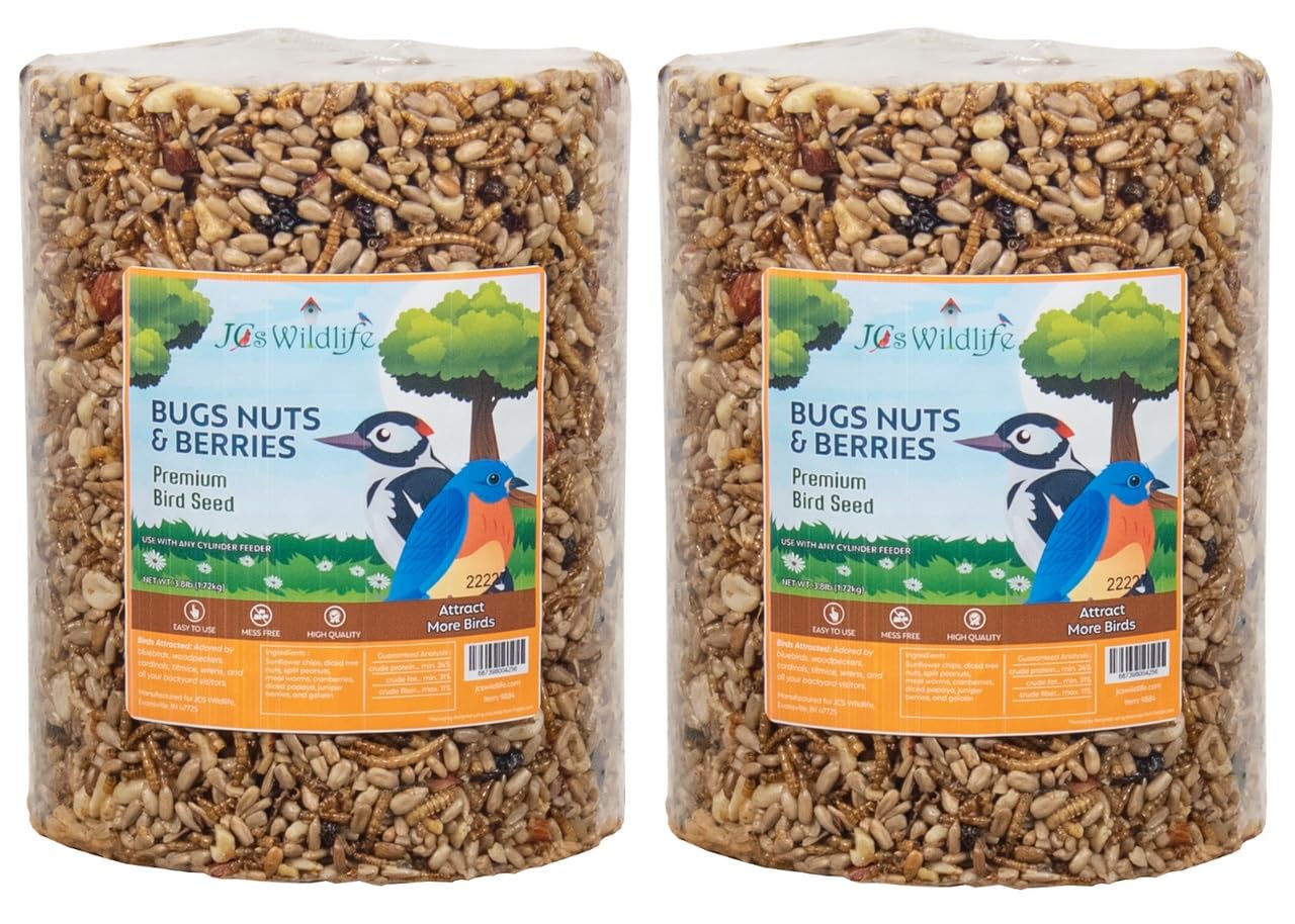 JCs Wildlife Bugs Nuts and Berries Premium Bird Seed Large Cylinder, 3.8 lb (2)