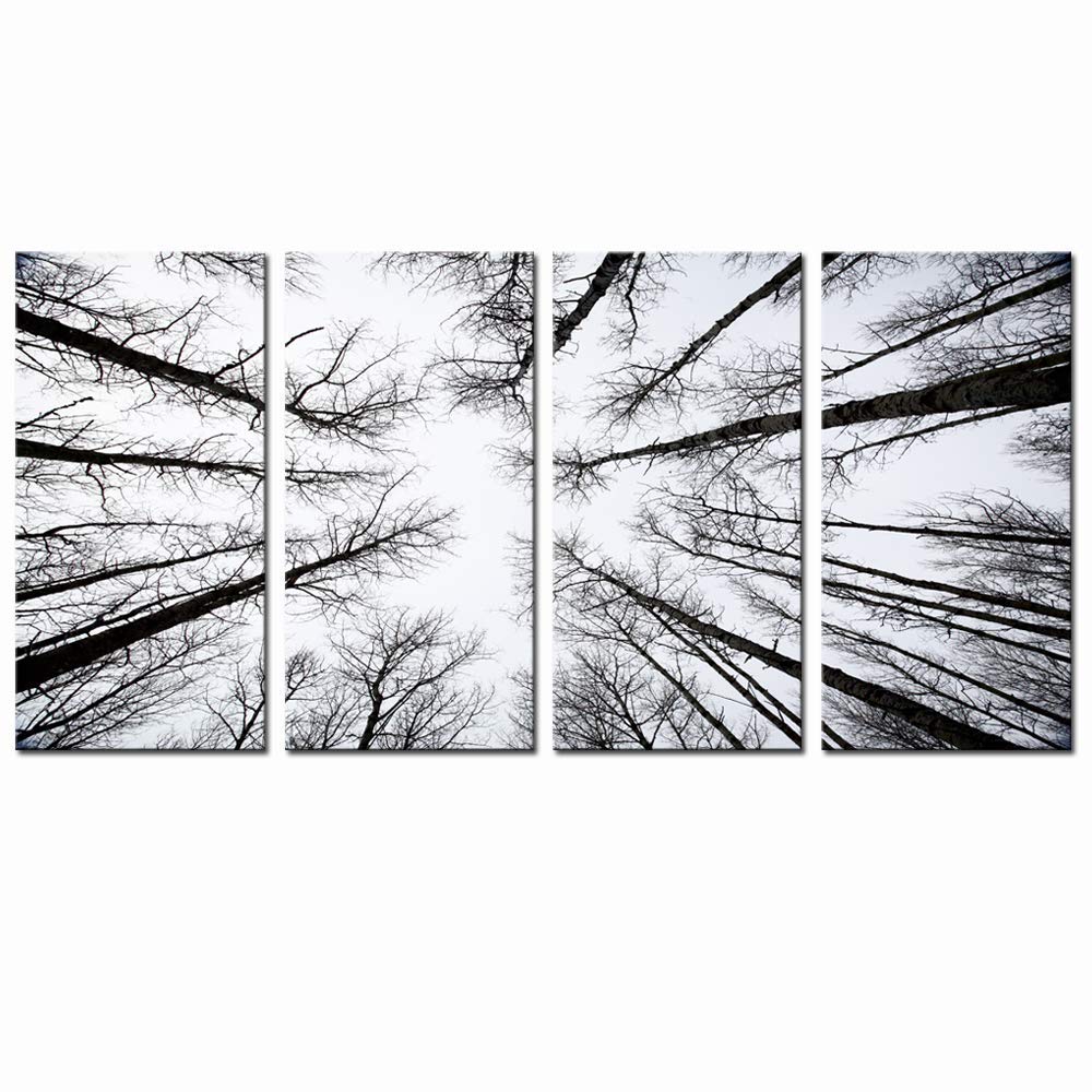 bpaBlack and White Forest Canvas Wall Art Low Angle View Aspen Trees Picture Print on CanvasSan Juan National Forest4 Panels Framed Artwork for Modern Home Wall Decoration