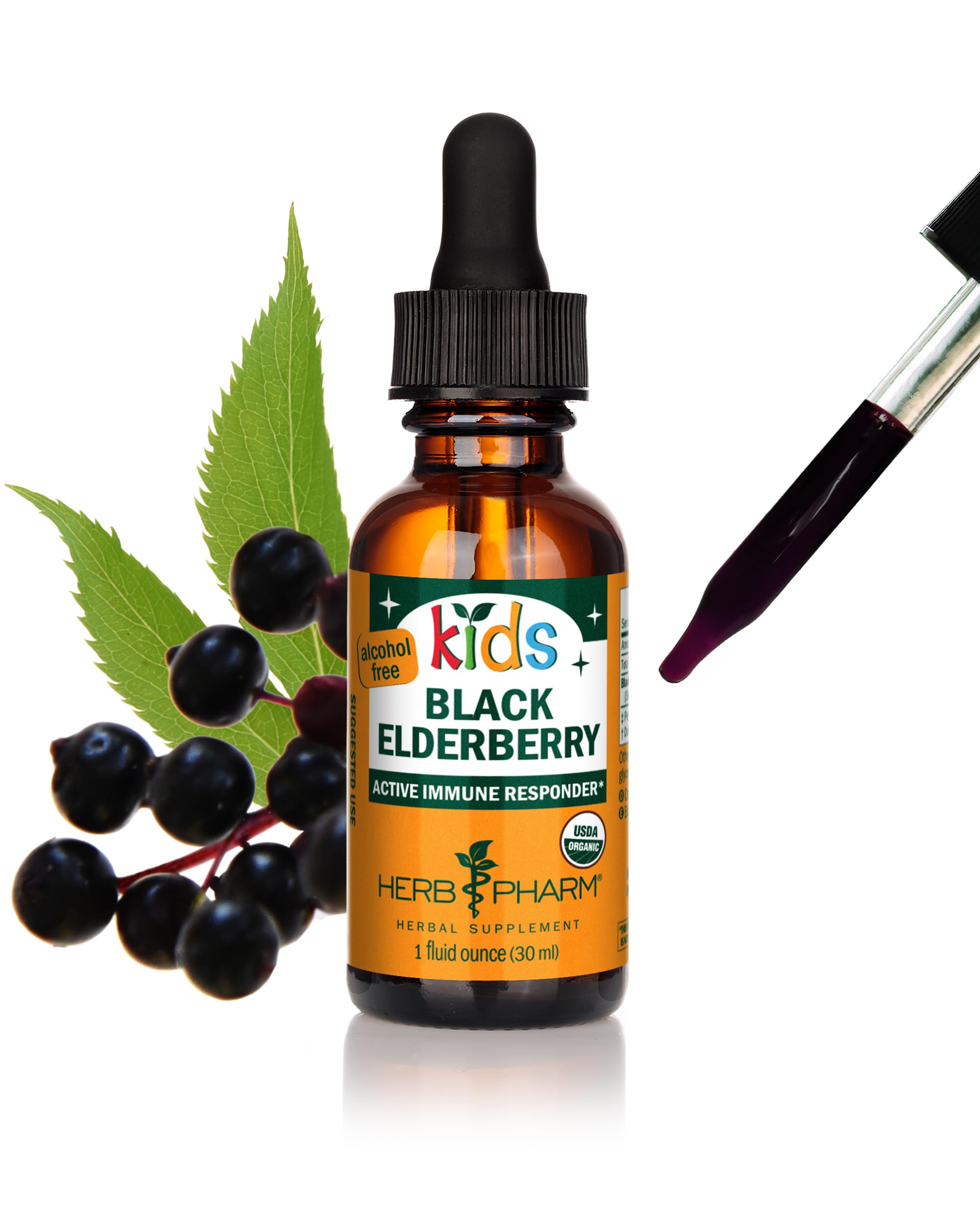 Herb PharmKids Certified-Organic Alcohol-Free Black Elderberry Glycerite Liquid Extract, 1 Ounce (GLKELD01)