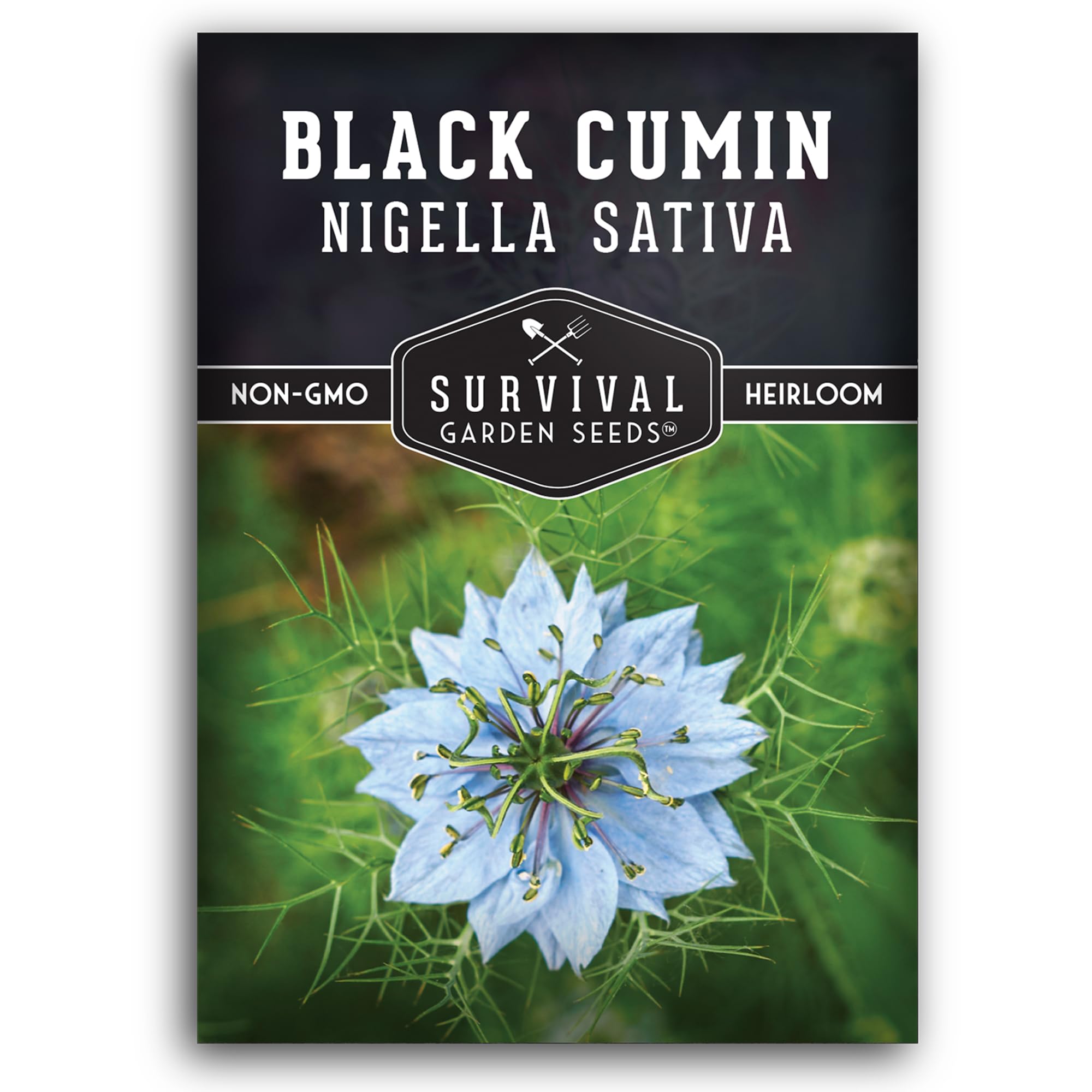 Black Cumin Seed for Planting - 1 Packet with Instructions to Plant and Grow Beneficial Nigella Sativa Plants in Your Home Vegetable Garden - Non-GMO Heirloom Variety - Survival Garden Seeds