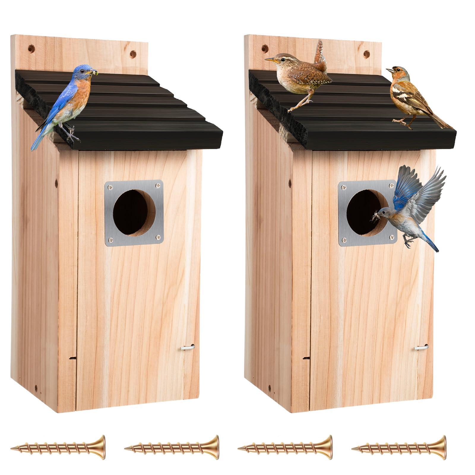 Dreyoo Cedar Bluebird Box Houses for Outside, 1-1/2'' Entrance Hole Wooden Bird Houses with Metal Guard, Secure Latch, Fledgling Grooves, Air Vents for Bluebird Wren Swallow (2 Pack)