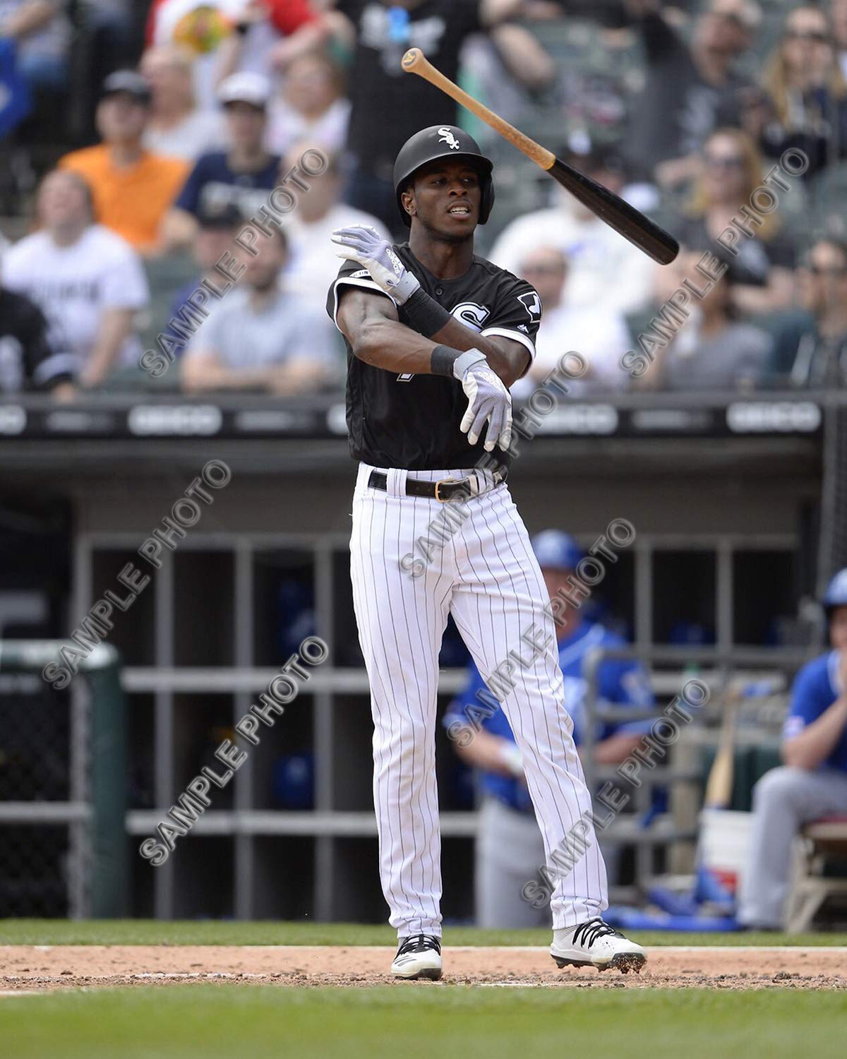 Tim Anderson Chicago White Sox 2019 MLB Action Photo (Size: 8" x 10")