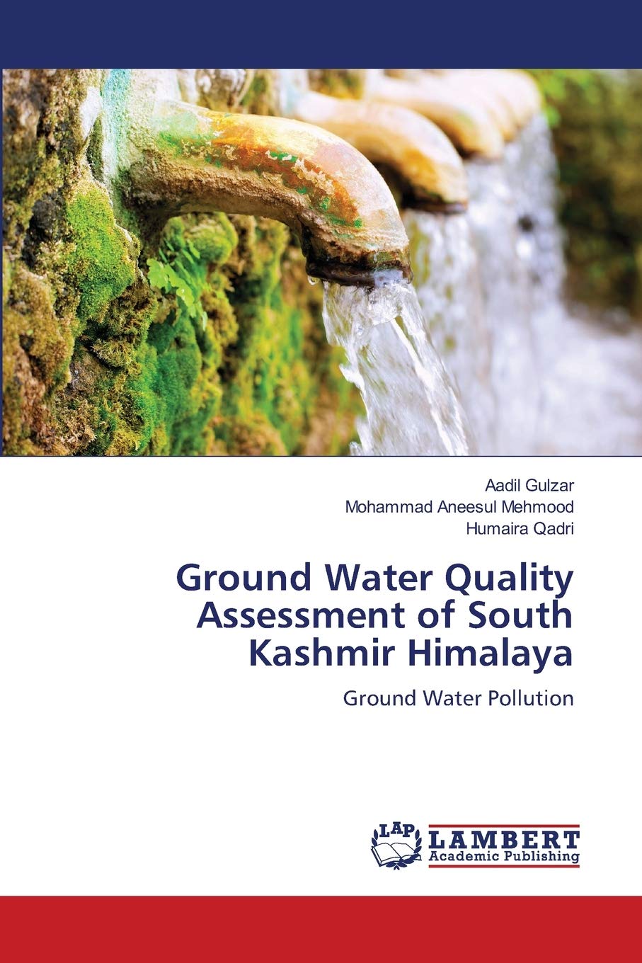 Ground Water Quality Assessment of South Kashmir Himalaya