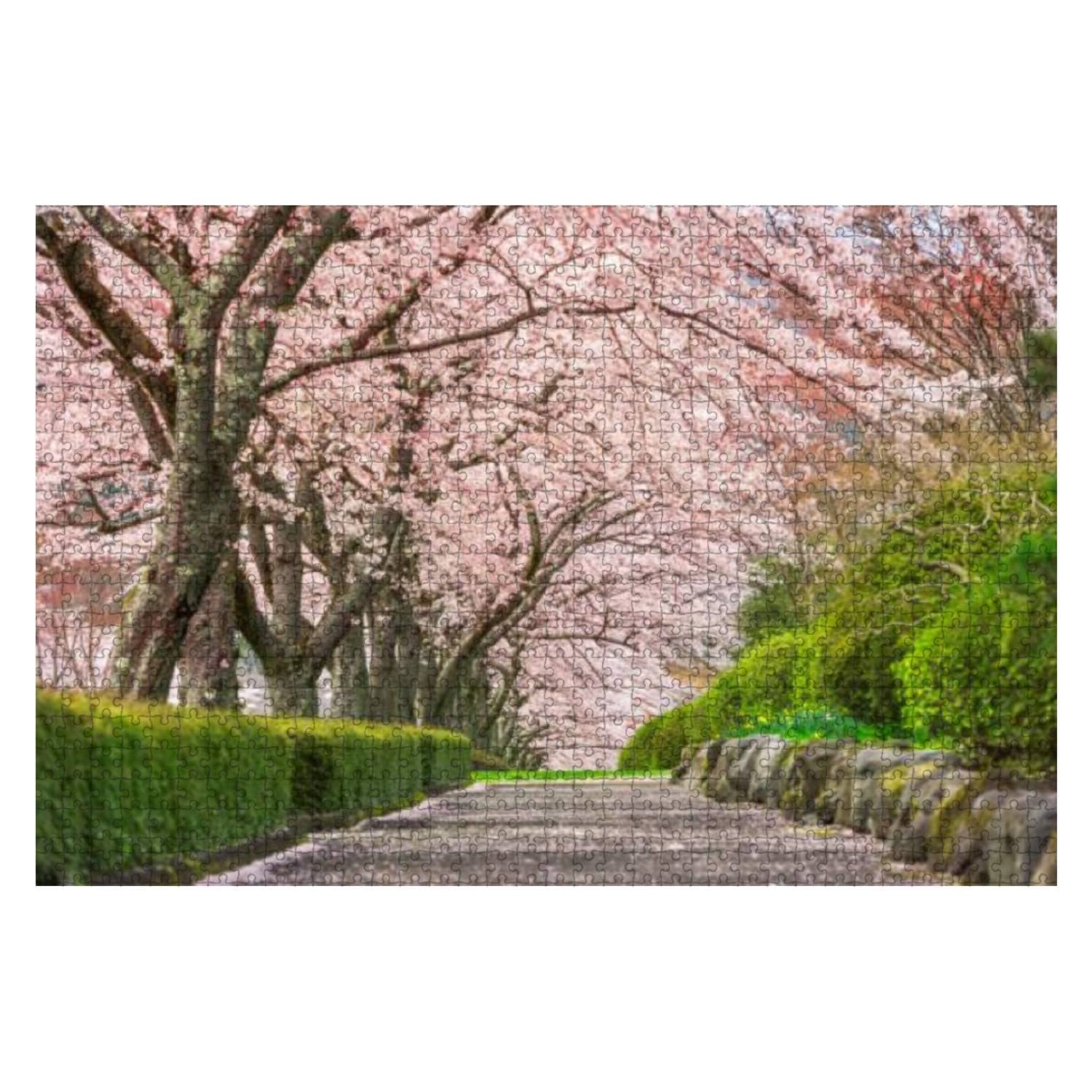 Shizuoka Japan in spring 1000 Pieces Wooden Jigsaw Puzzles for Adults Decompression DIY Children Educational Puzzles Creative Games Toys Gift Home Decor