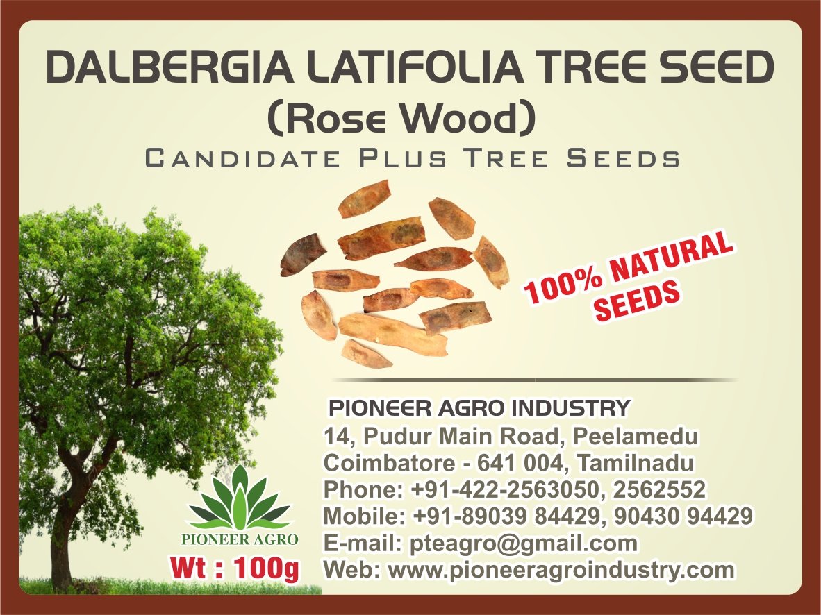 Bokashi Bran Dalbergia Latifolia(Rose wood) Tree Seed 100G