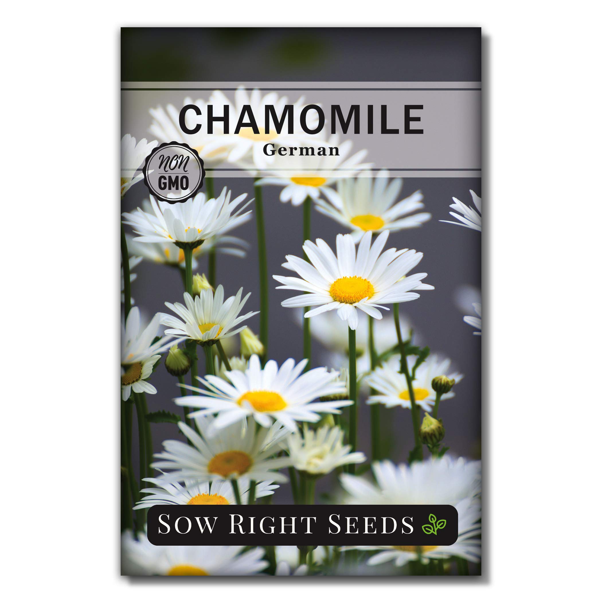 Sow Right Seeds - German Chamomile Seeds for Planting - Non-GMO Heirloom Packet with Instructions to Grow Herbal Tea - Medicinal & Aromatic Flower, Home Remedies - Small Daisy-Like Blooms (1)