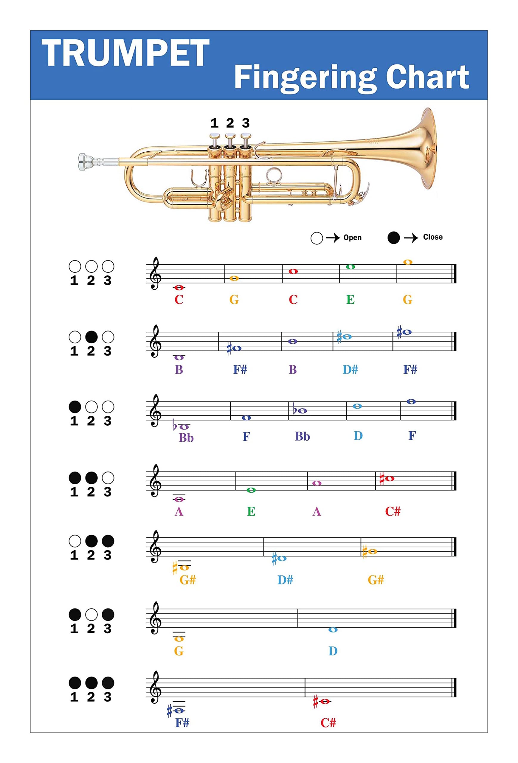 QMG Trumpet Fingering Chart with Color-Coded Notes, Learn Trumpet Technique Suitable for All Levels, Made in the USA