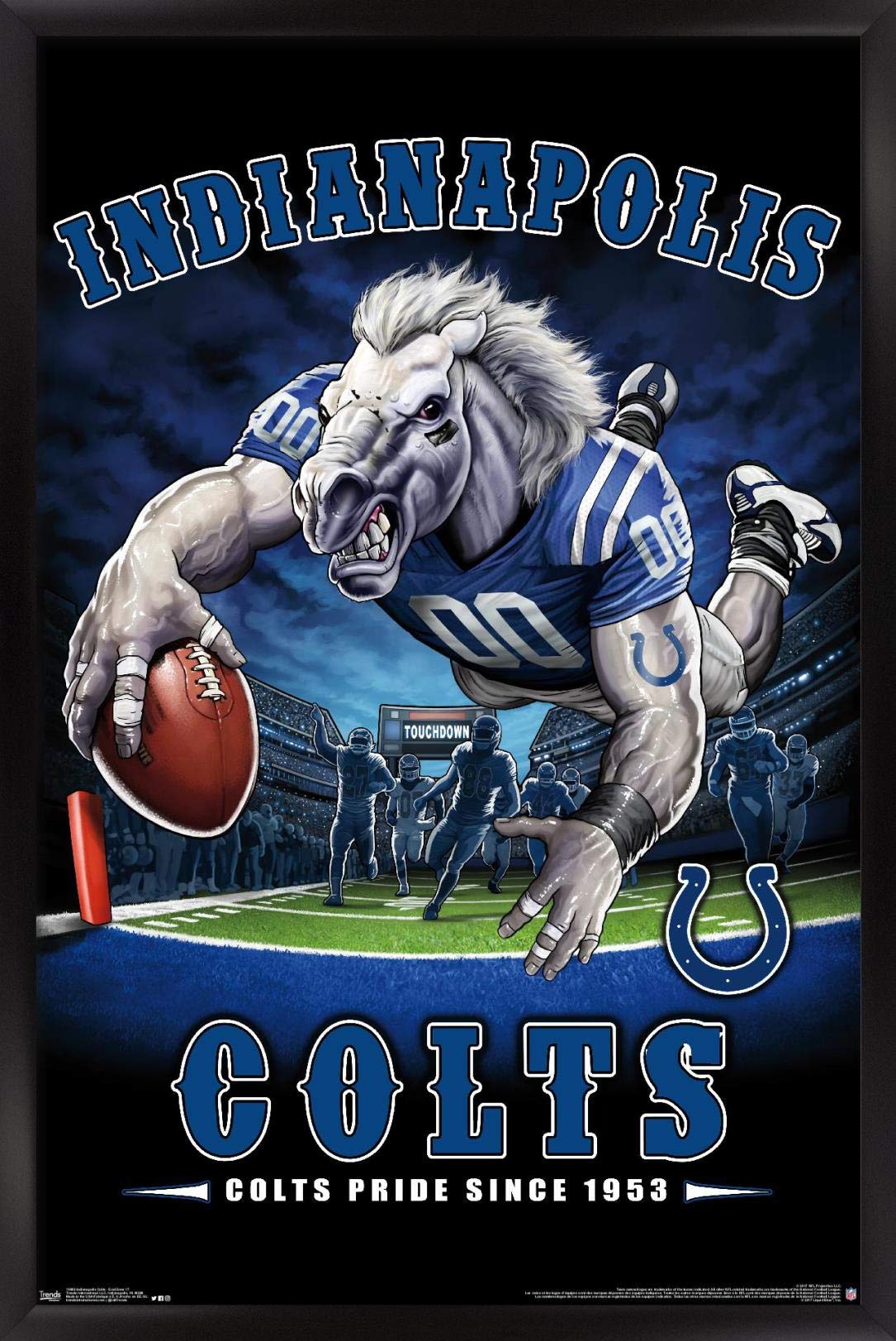 Trends International NFL Indianapolis Colts - End Zone 17 Wall Poster, 14.725" x 22.375", Black Framed Version