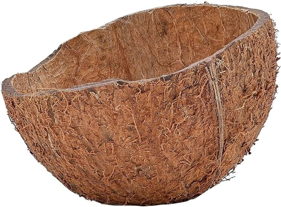 Coconut Shells for Cooking, Making Charcoal (Standard, 40)