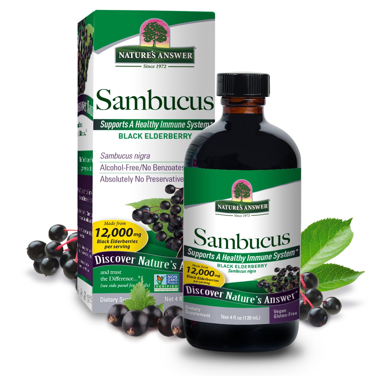 Nature's Answer Alcohol-Free Sambucus Original 4oz Liquid | Daily Immune Support | Packed with Antioxidants | Family Friendly | Gluten-Free, Vegan | Single Count