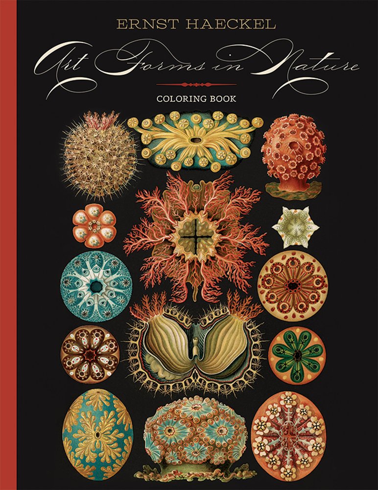 Ernst Haeckel Art Forms in Nature Coloring Book