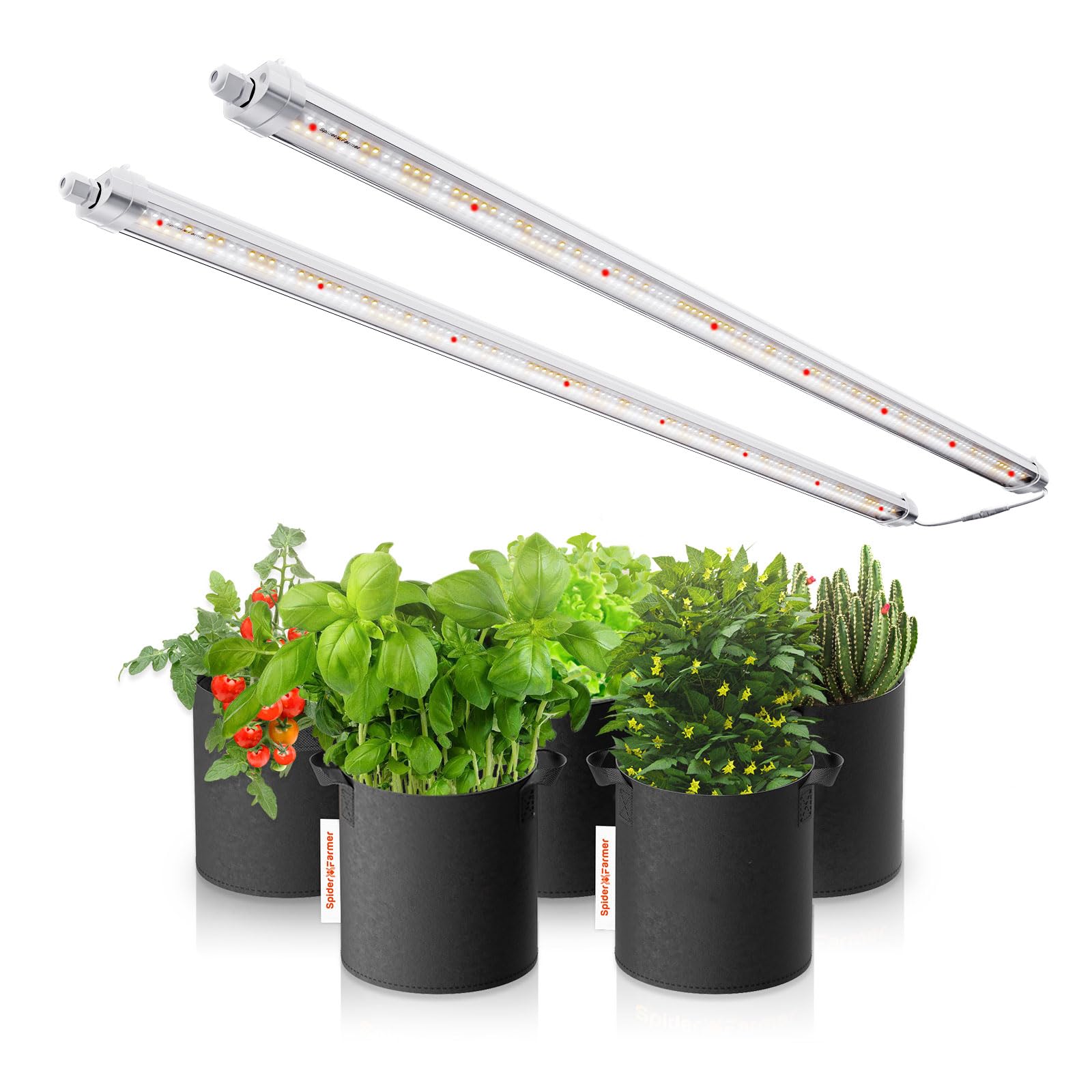 Spider FarmerGlow80 LED Plant Lamp, 110cm Full Spectrum Waterproof Lamp for Plant Growth Grow Lamp for Indoor Plant Seedling Veg Flower, 2-Pack 476 Leds 80W