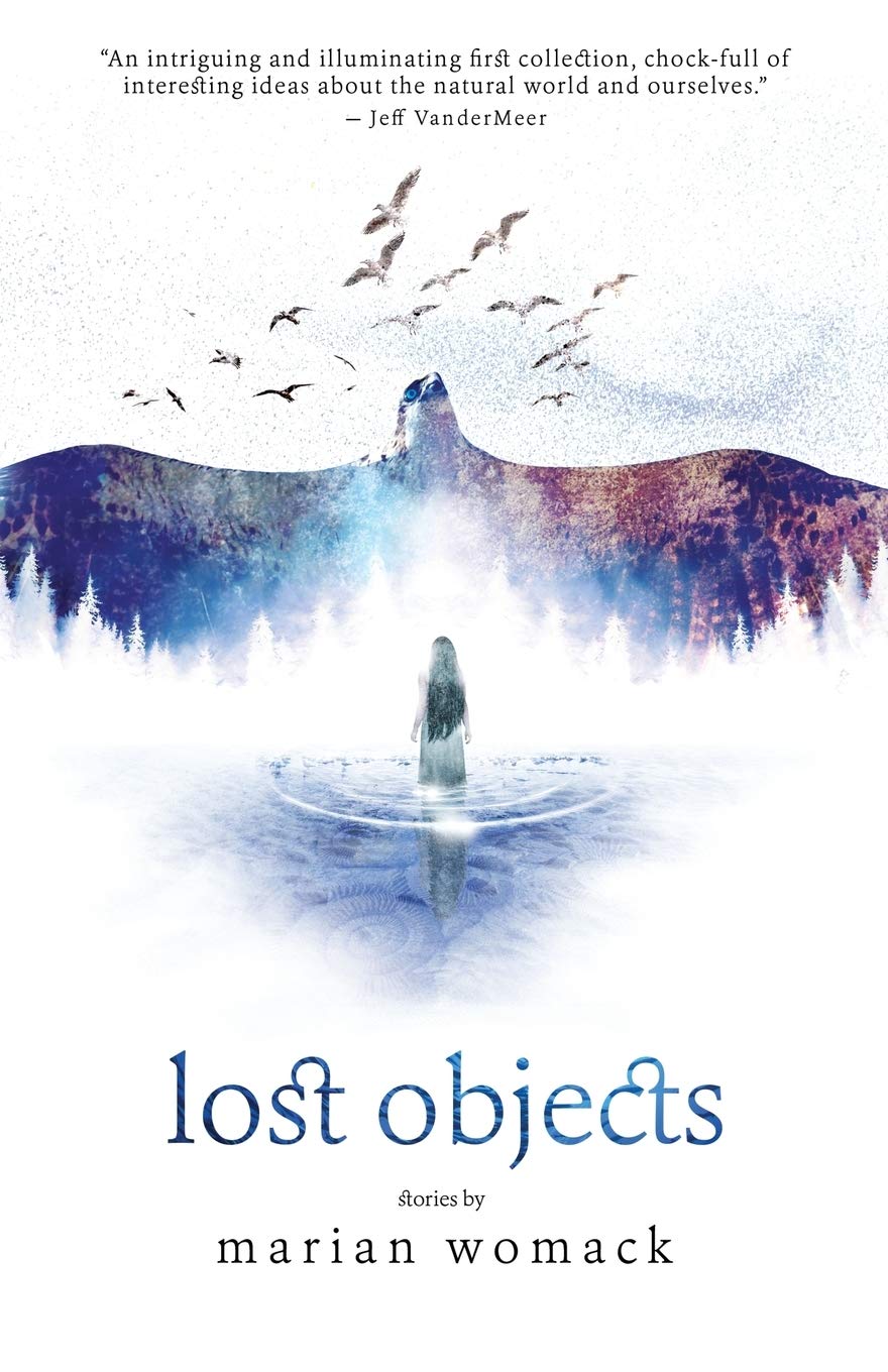 Lost Objects Paperback – 3 July 2018