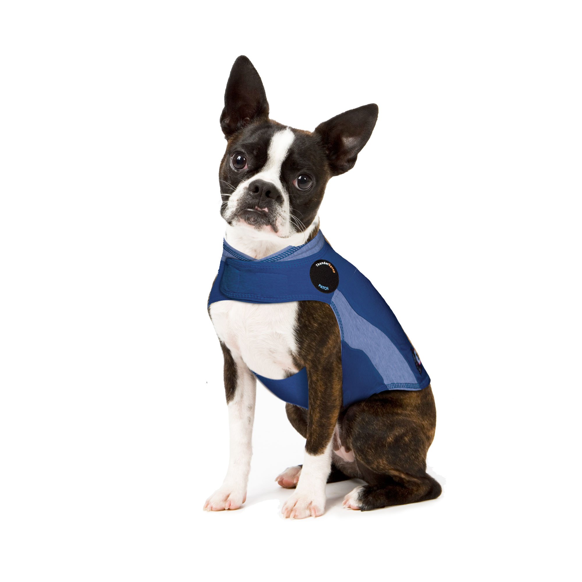 ThunderShirt for Dogs, X Small, Blue Polo - Dog Anxiety Vest