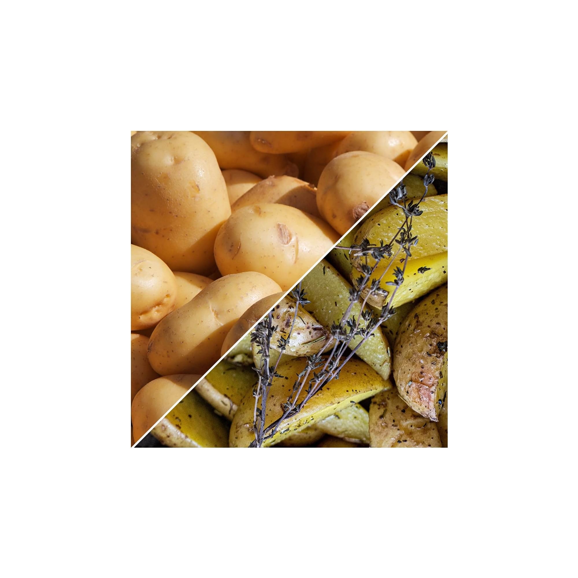 Pronto Seed 50 King Edward Seed Potatoes for Planting - Main Crop - Grow Your Own Scottish Potatoes - Versatile All Rounder - Ready to Plant - Easy to Grow - Grow in your Garden at Home