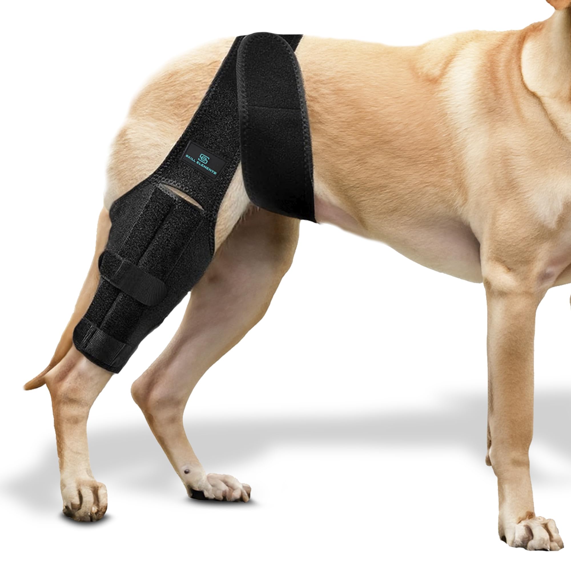 Dog Leg Braces for Back Leg - Dog Knee Brace For Support With Cruciate Ligament Injury, Joint Pain And Muscle Sore,- Dog Knee Brace for Torn ACL Hind Leg Adjustable Rear Leg Braces (Small)